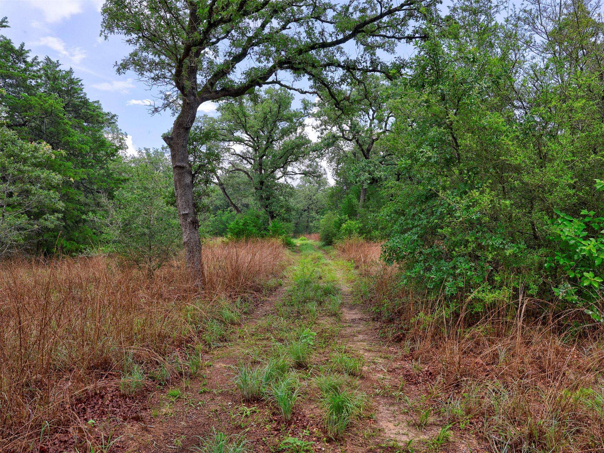 1420 CR C, Lexington, TX 78947