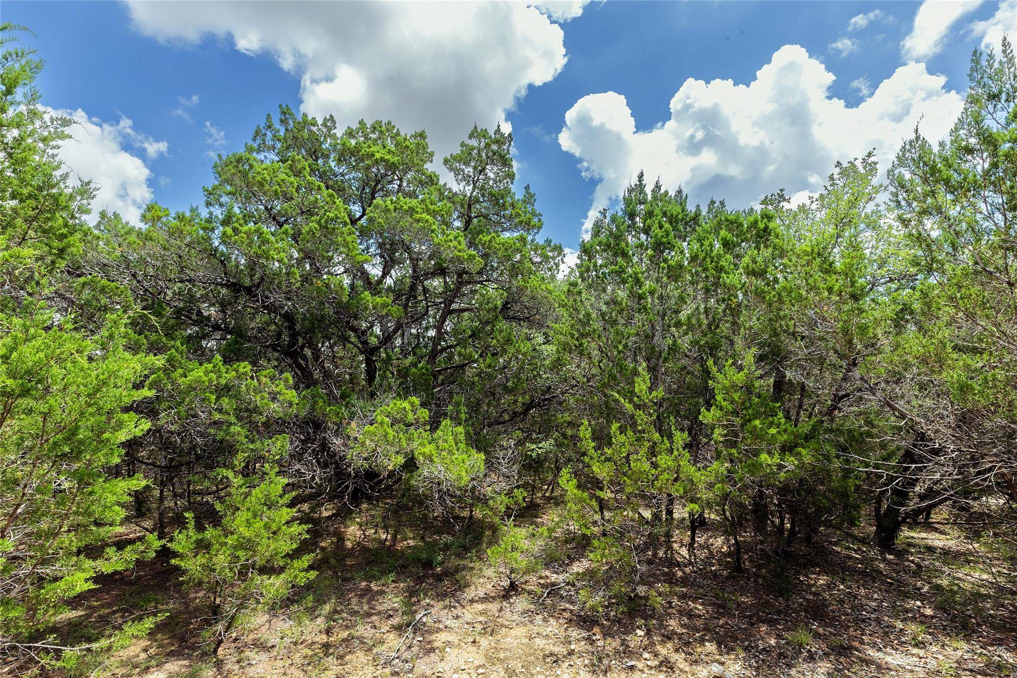 179 Shawnee TRL, Dripping Springs, TX 78620