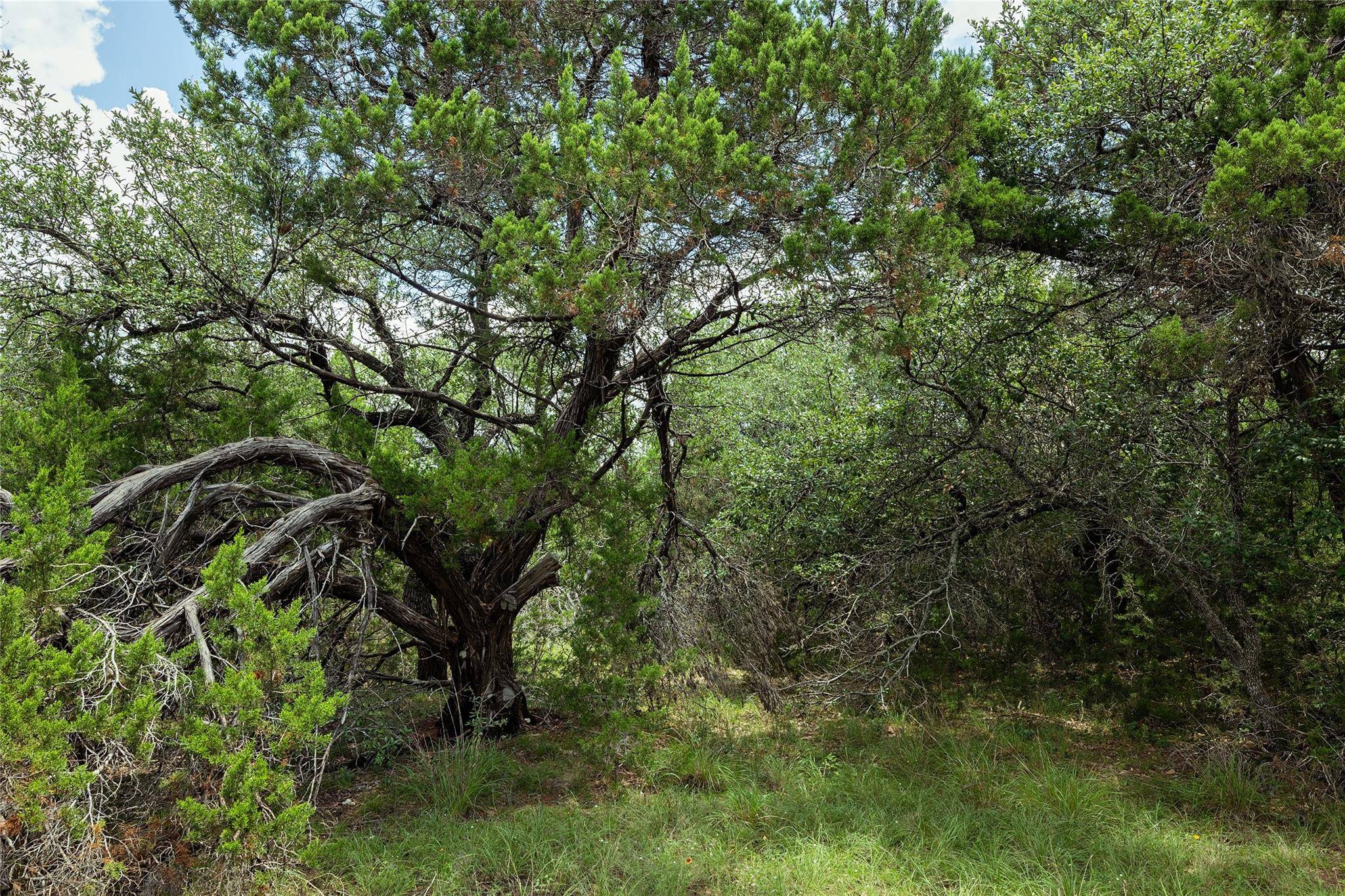179 Shawnee TRL, Dripping Springs, TX 78620