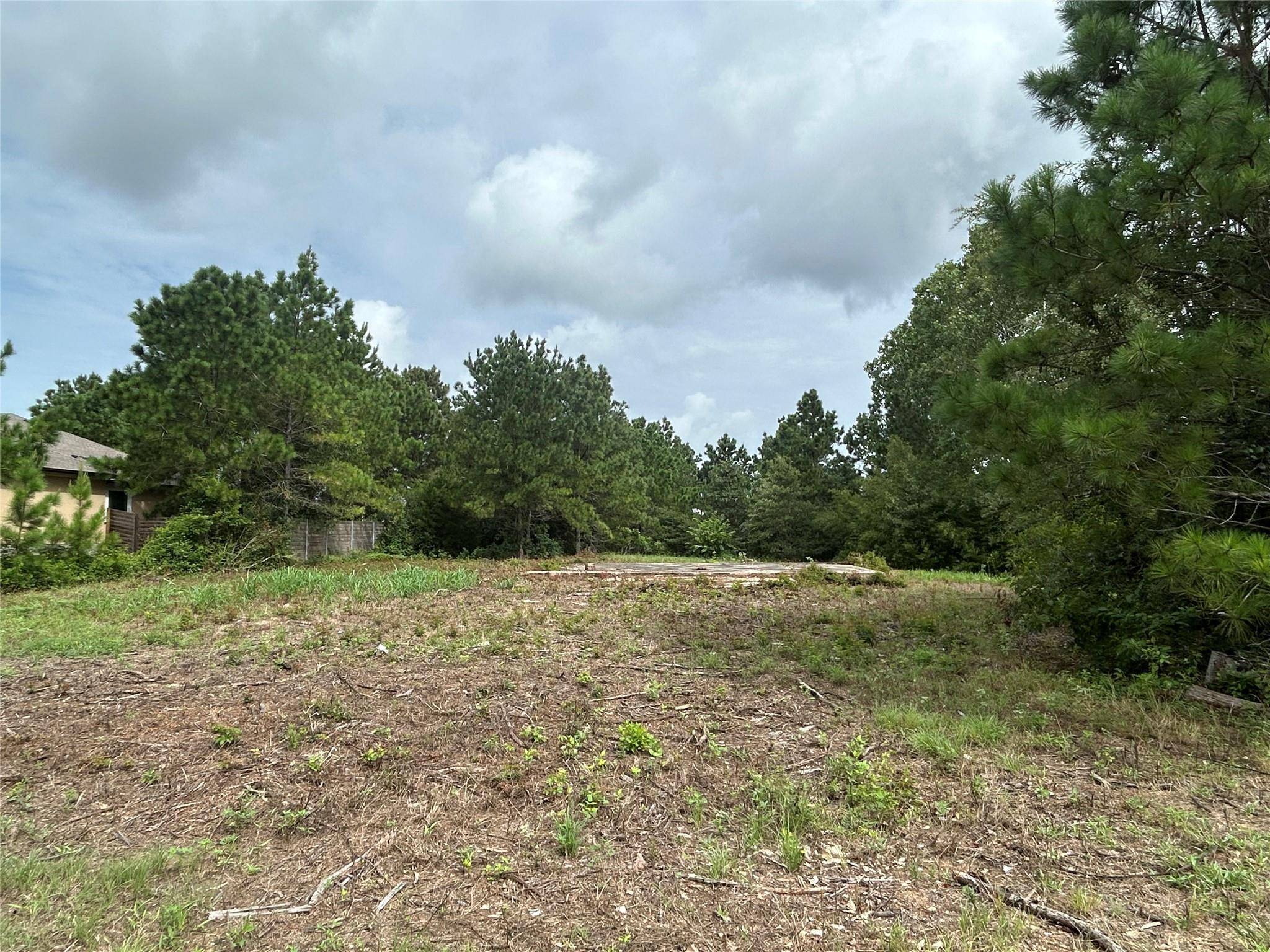 158 Cardinal LOOP, Paige, TX 78659