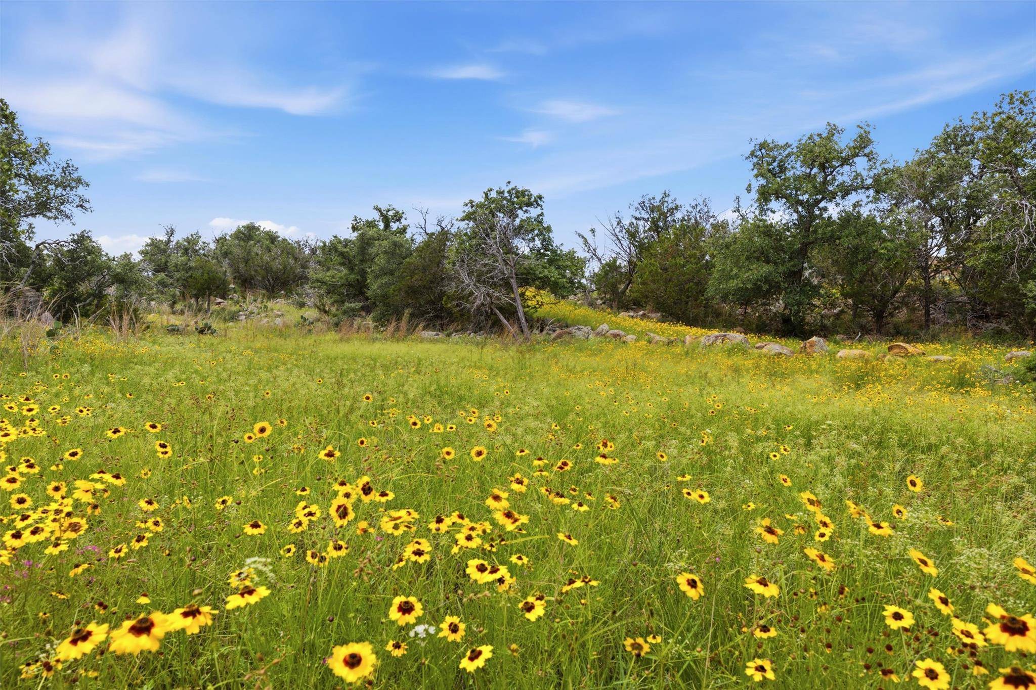 (Lot 30) Peninsula DR, Burnet, TX 78611