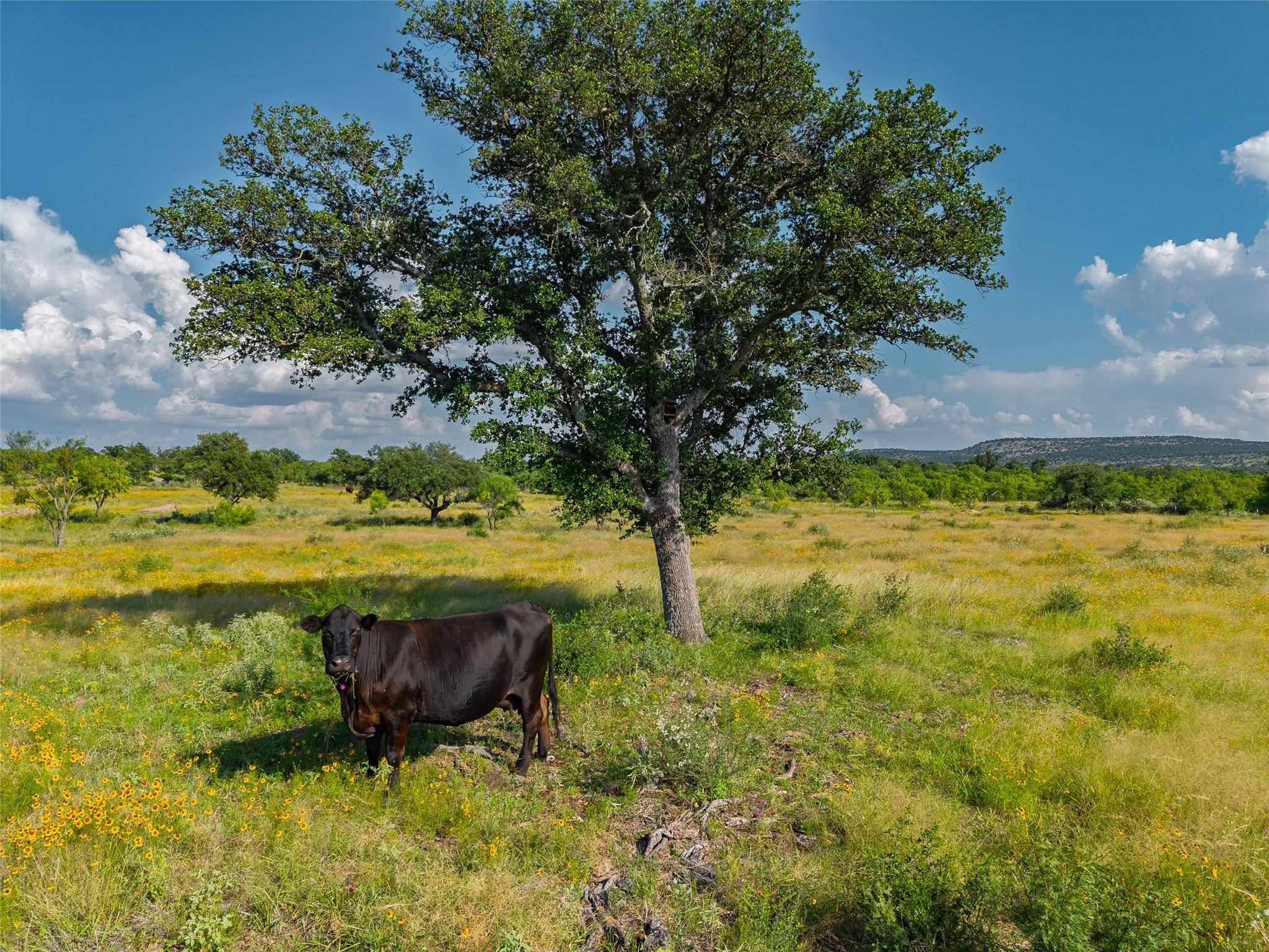 TBD County Road 110 RD, Llano, TX 78643
