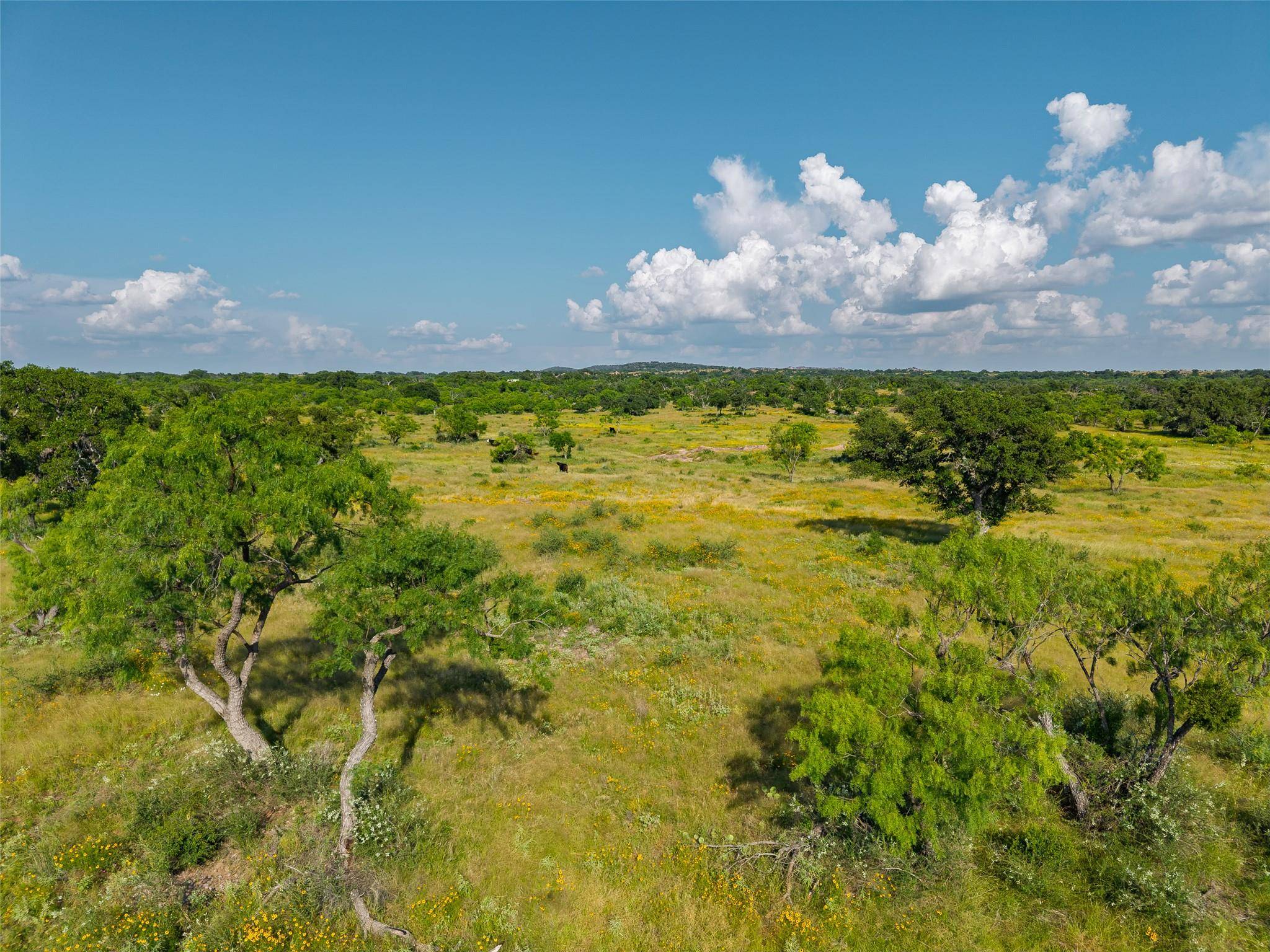 TBD County Road 110 RD, Llano, TX 78643