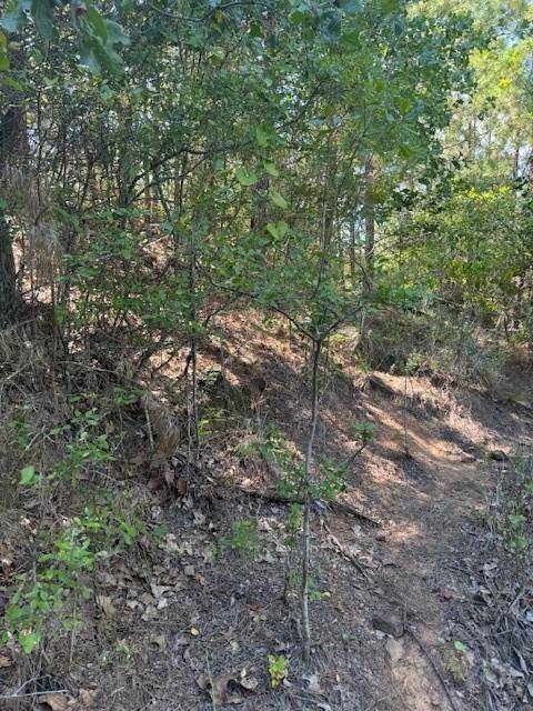 Lot 1355 N Kaupo DR, Bastrop, TX 78602