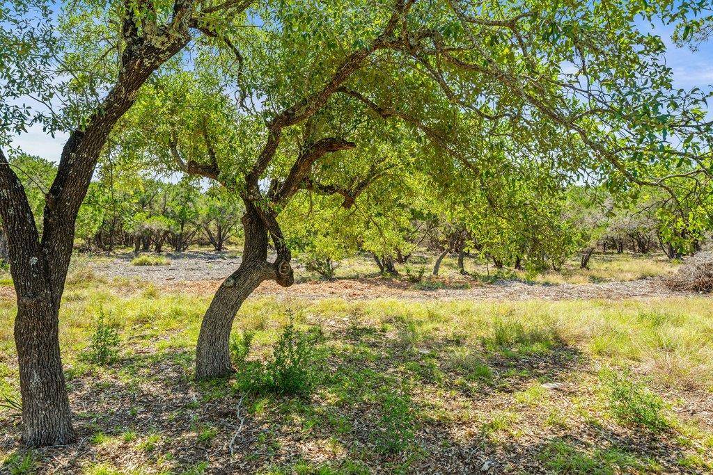300 Stonegate LN, Dripping Springs, TX 78620