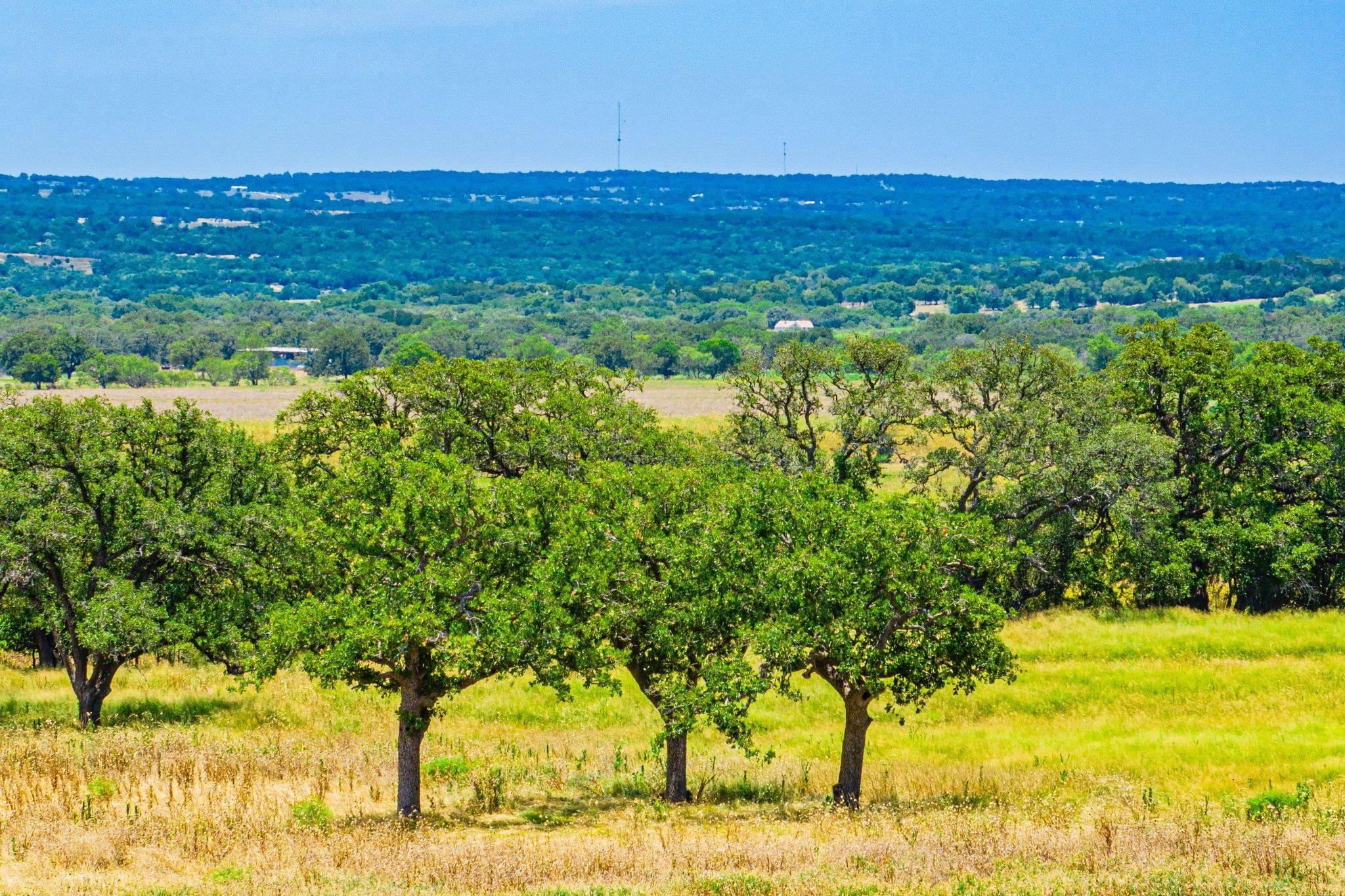 Address not disclosed, Fredericksburg, TX 78624