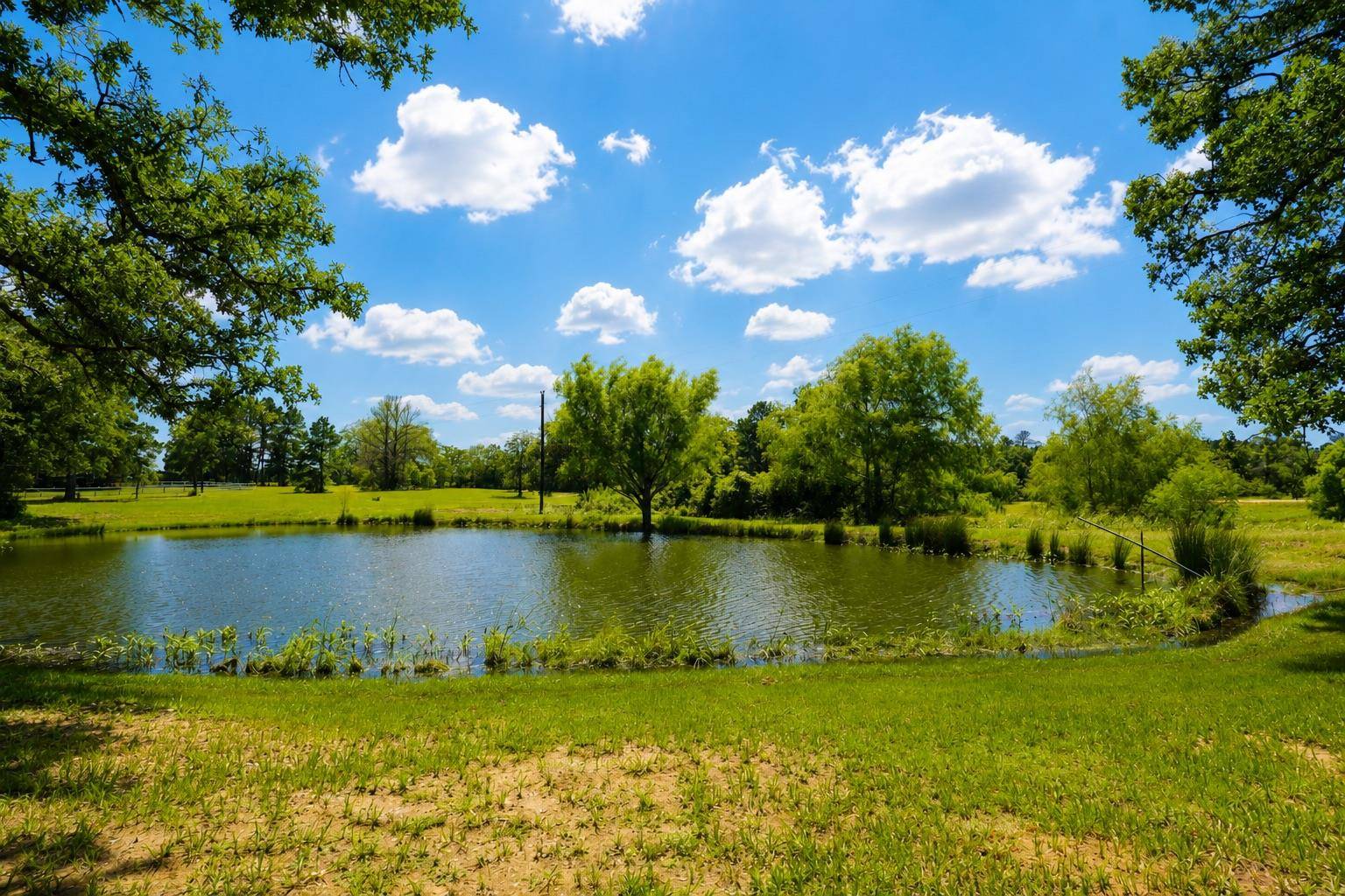 318 Grey Wolf LN, Bastrop, TX 78602