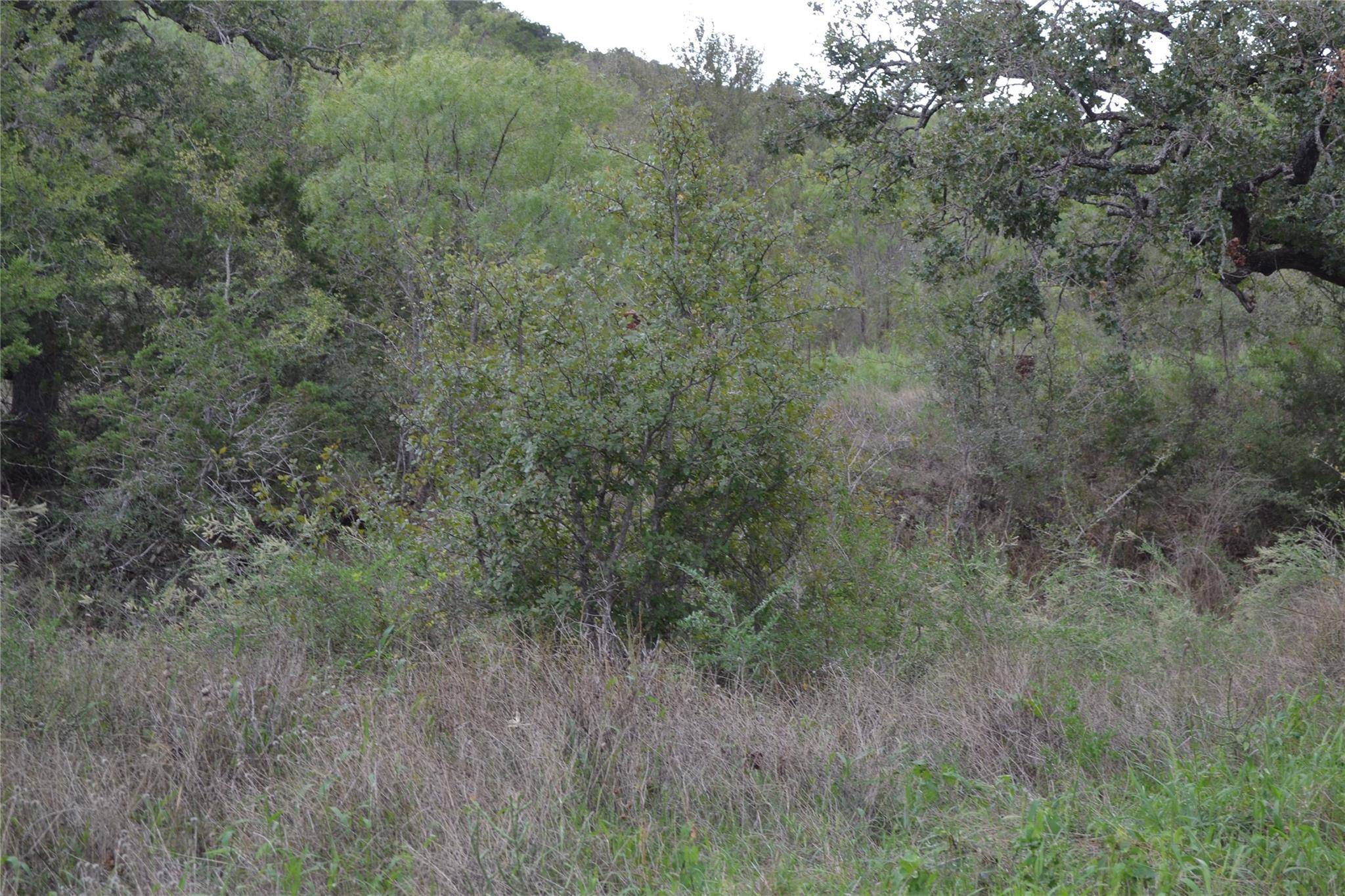 0 Ranch Road 2241, Tow, TX 78672