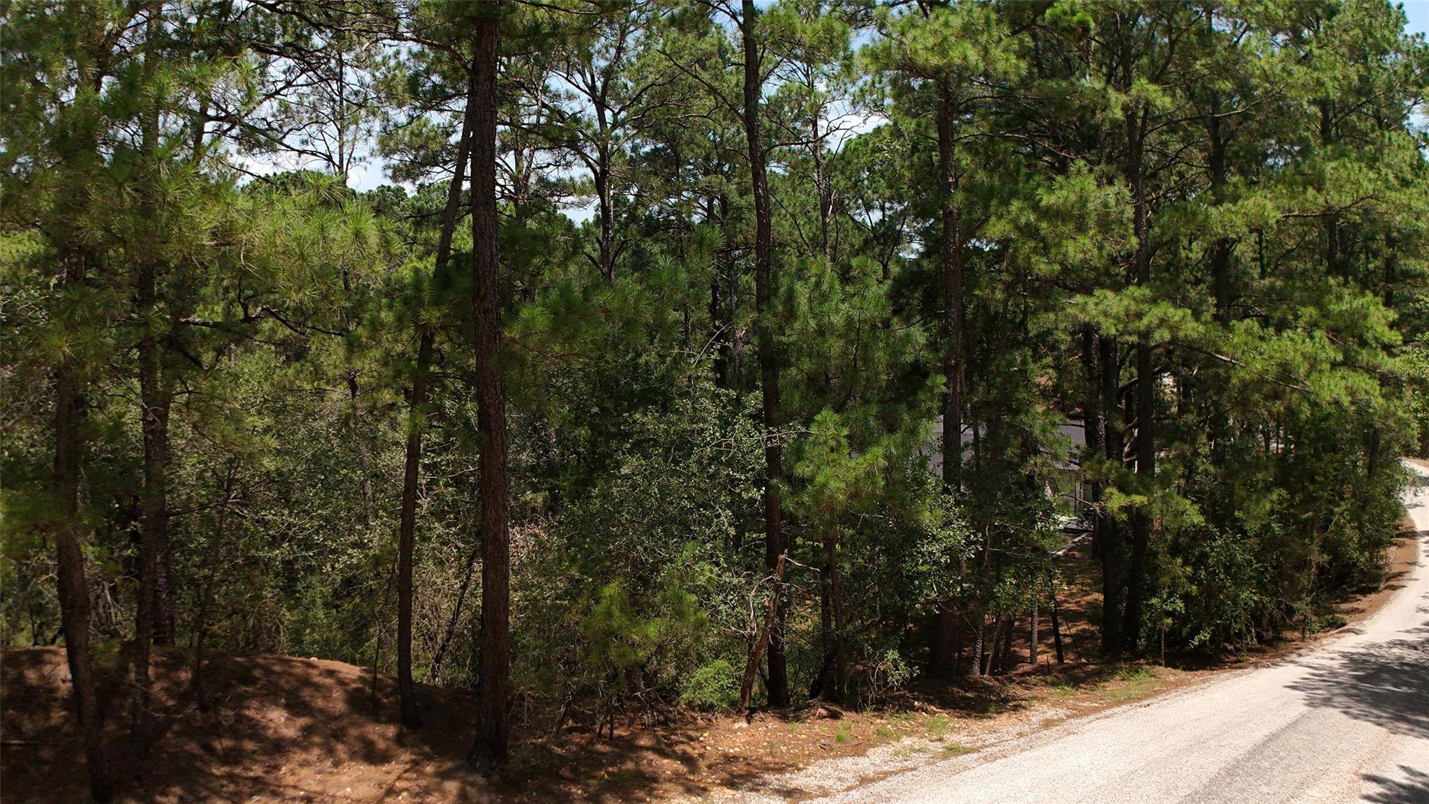 Lot 232 Hekili DR, Bastrop, TX 78602
