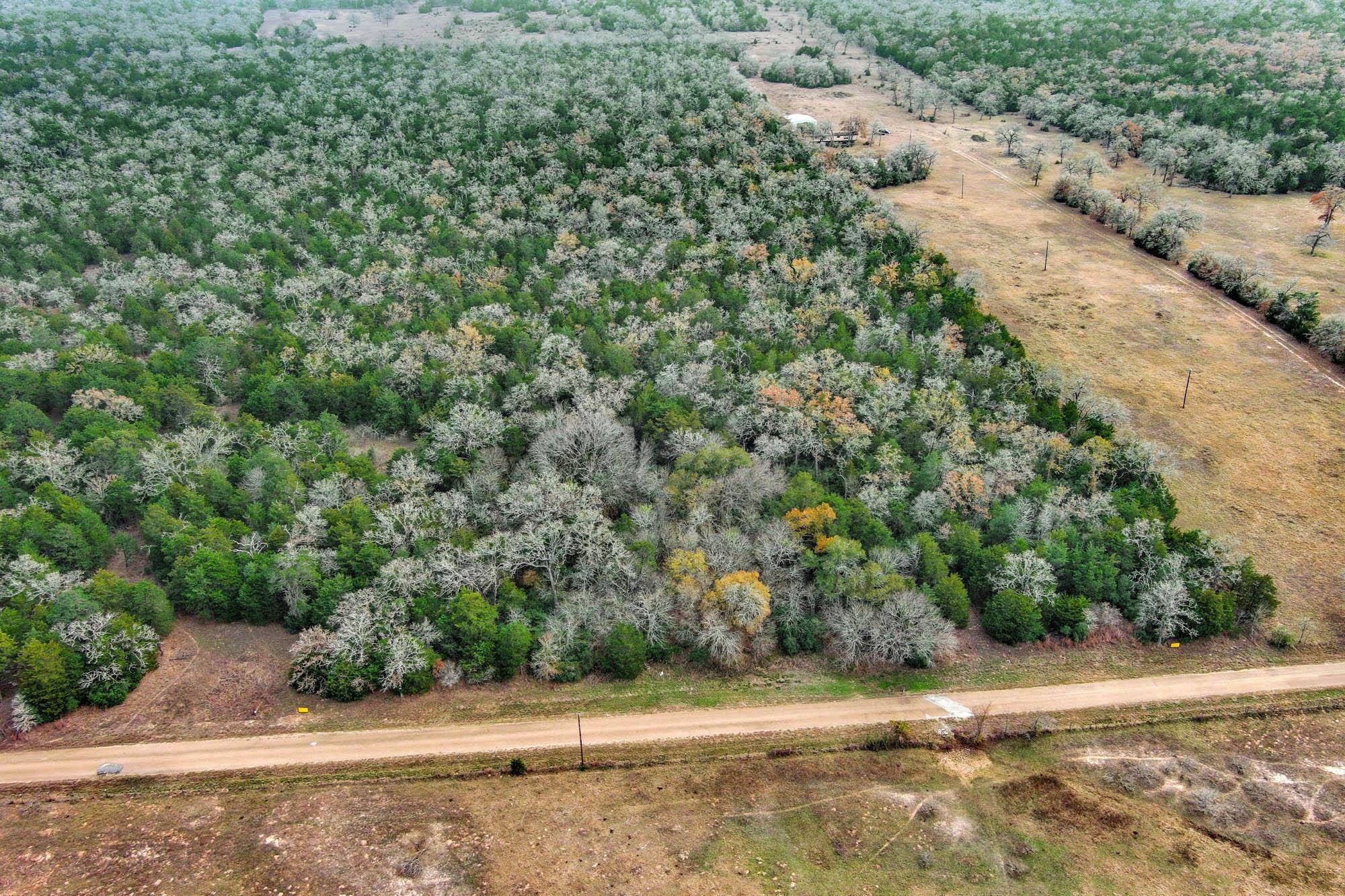24 acres CR 332 RD, Paige, TX 78659