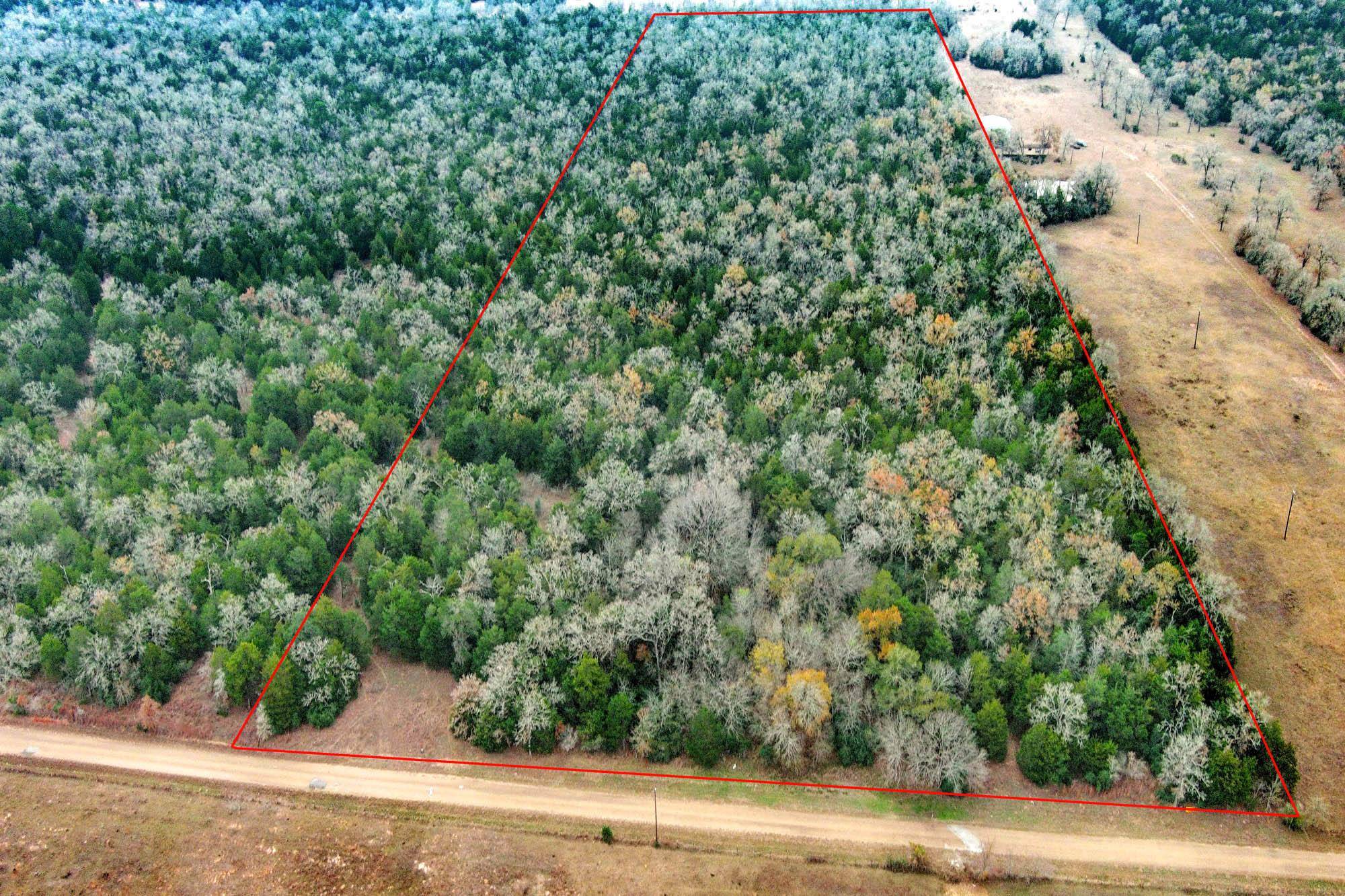 24 acres CR 332 RD, Paige, TX 78659