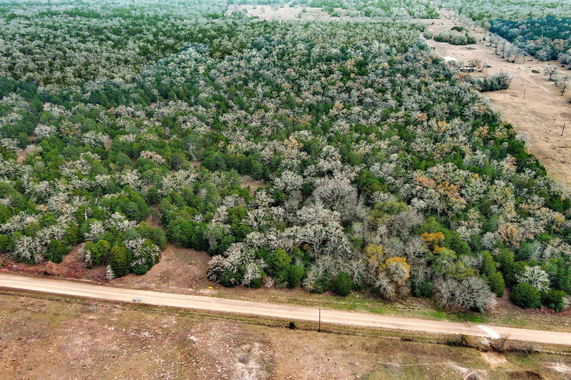 24 acres CR 332 RD, Paige, TX 78659