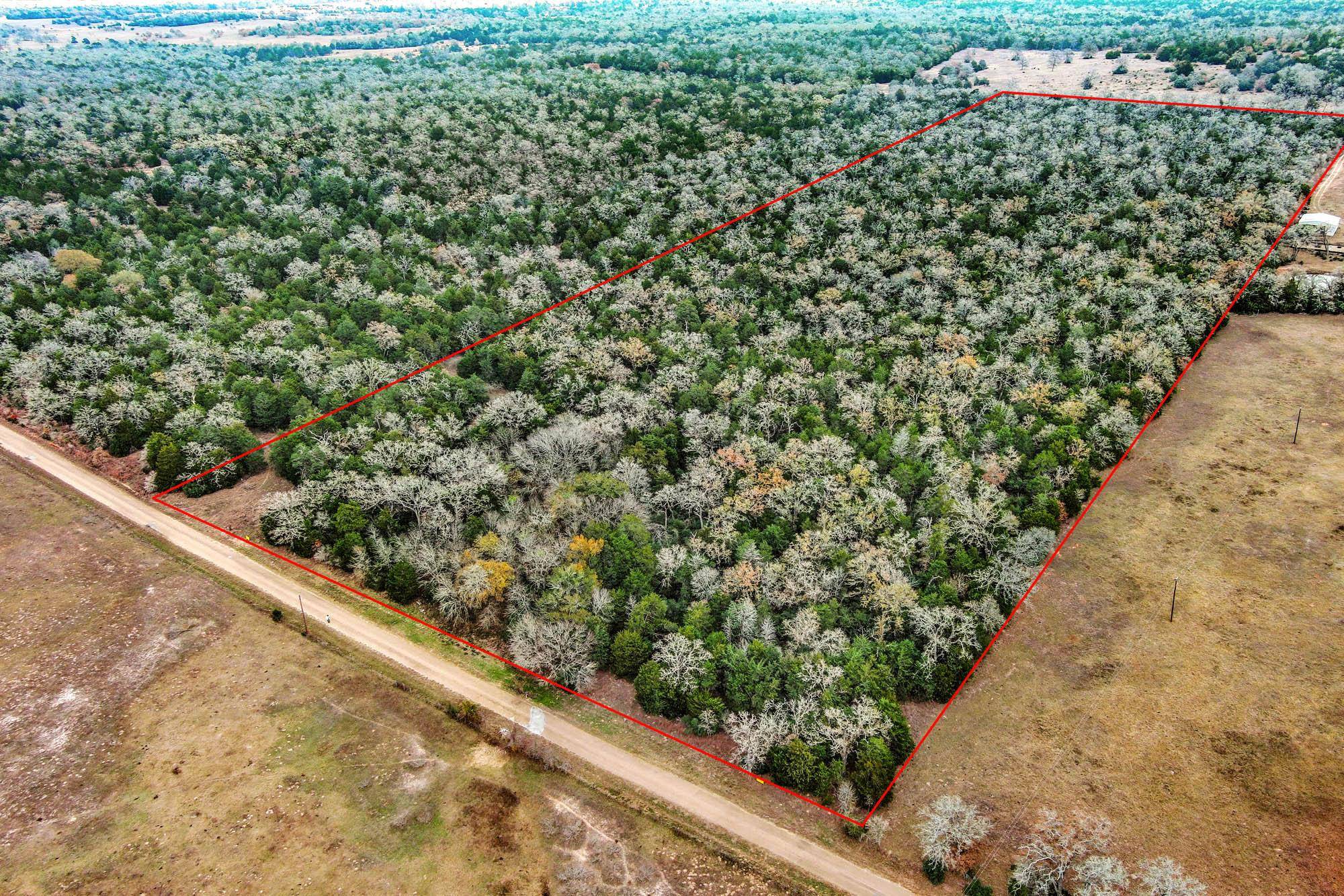 24 acres CR 332 RD, Paige, TX 78659
