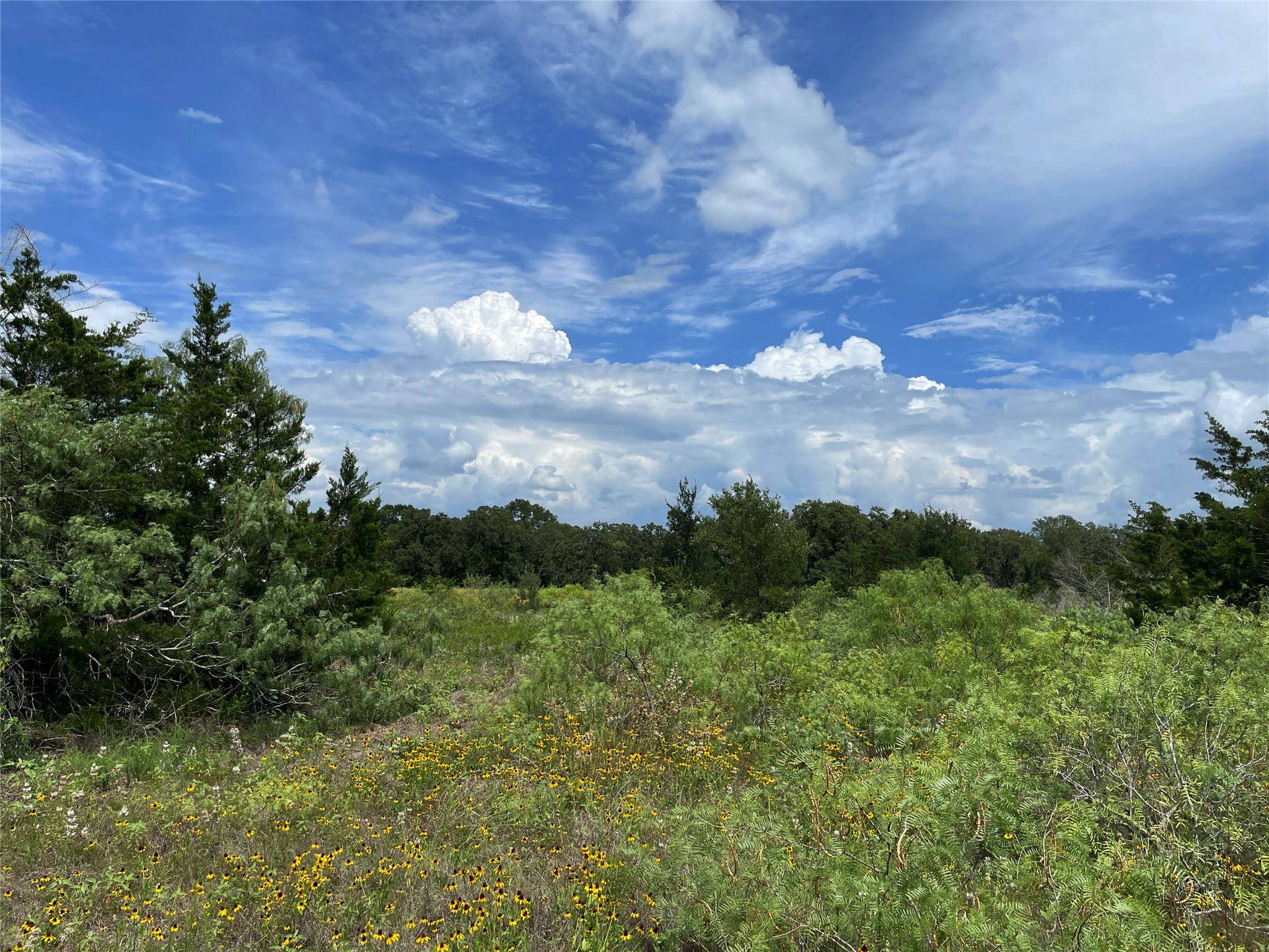 TBD FM 141, Giddings, TX 78942