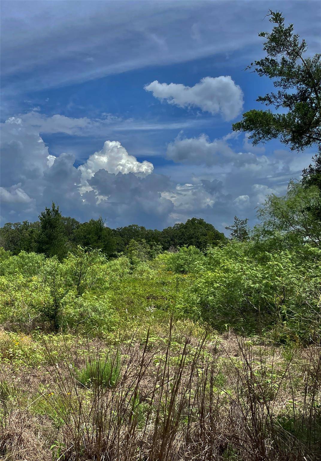 TBD FM 141, Giddings, TX 78942