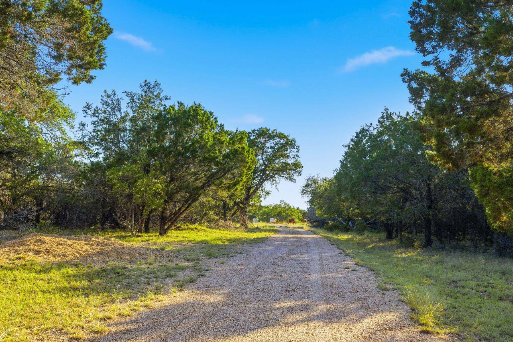 3303 Fearless Treadway, Round Mountain, TX 78663