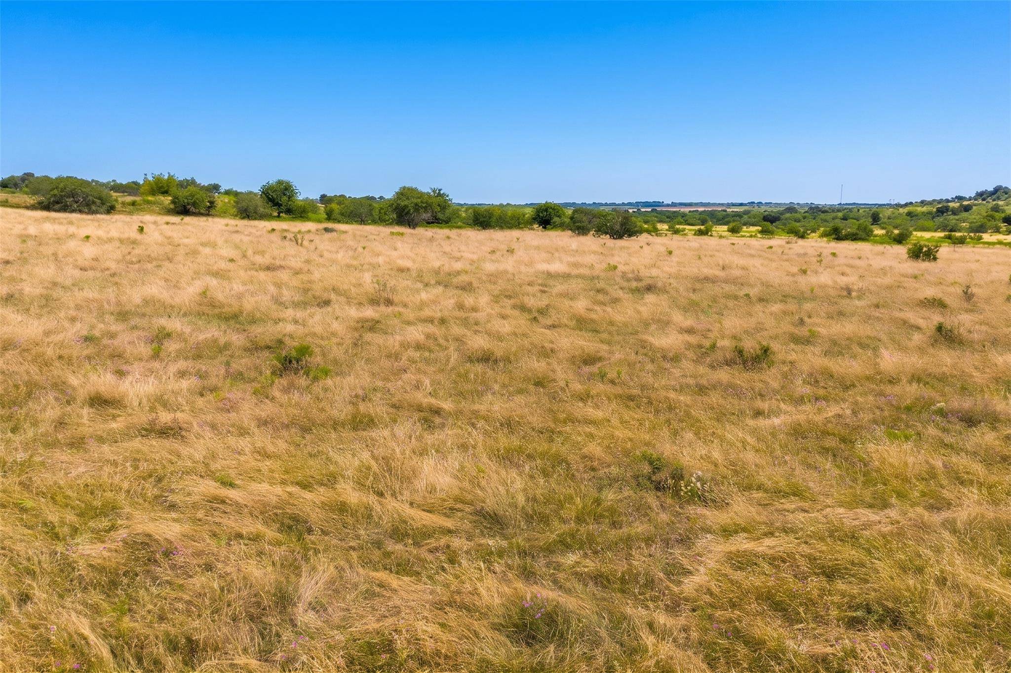 1854 LOT 4 County Road 104, Buckholts, TX 76518