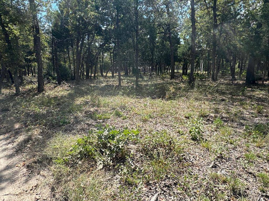 [Lot 1] 000 Jordan LN, Elgin, TX 78621