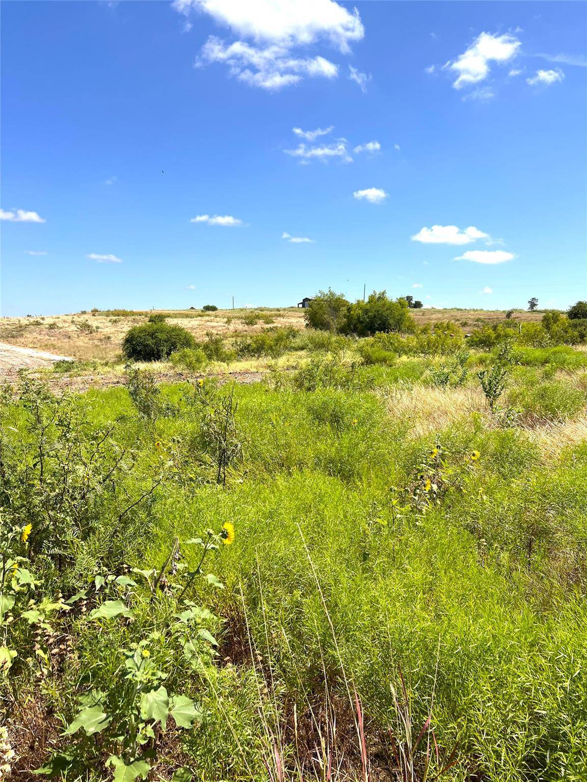 620 County Road 451 RD, Coupland, TX 78615