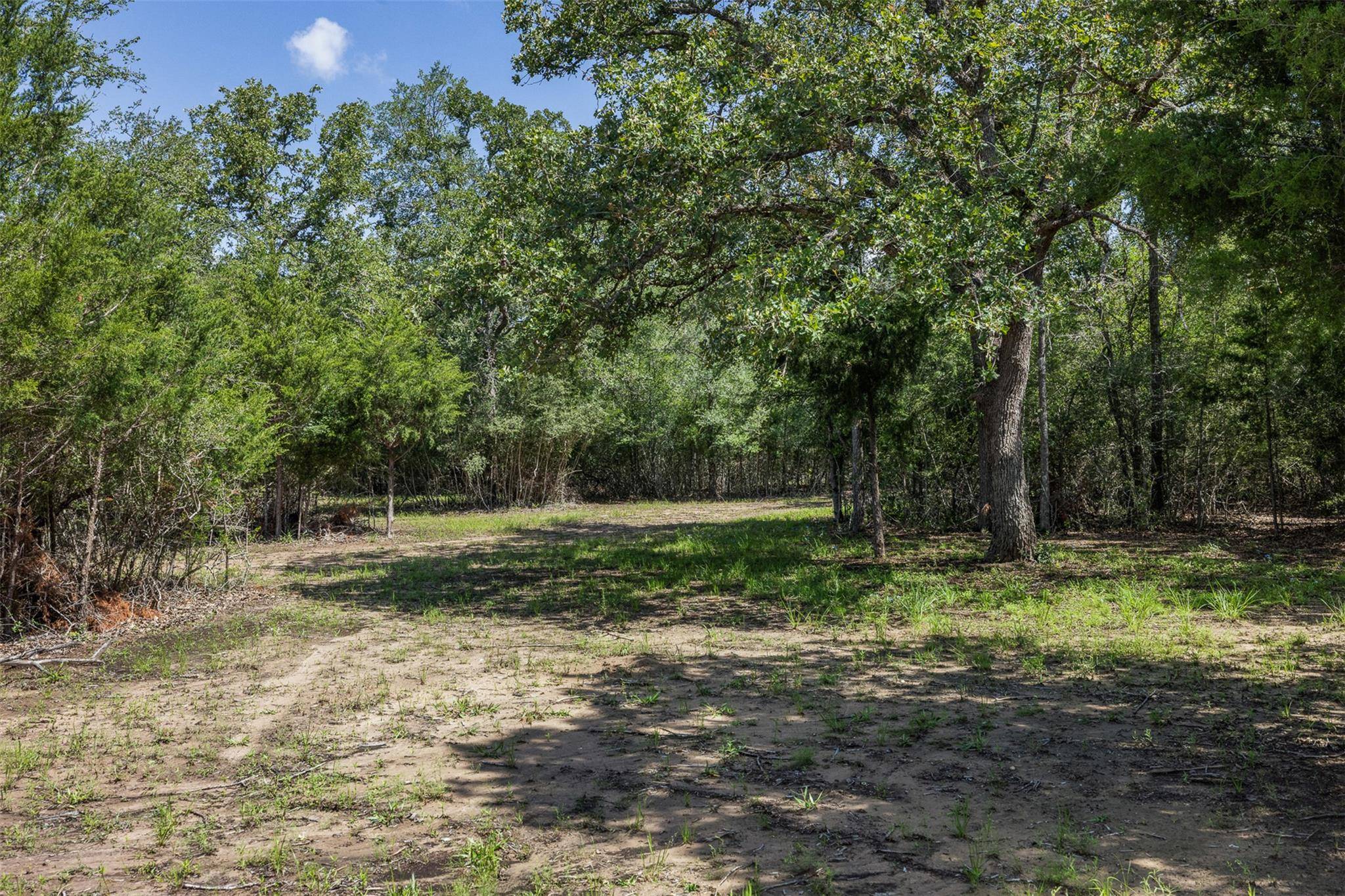 7132 Serenity Ranch RD, Somerville, TX 77879