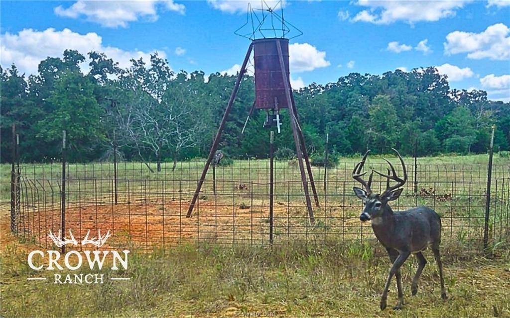 TBD FM 908 (+/-1,057 acres), Caldwell, TX 77836