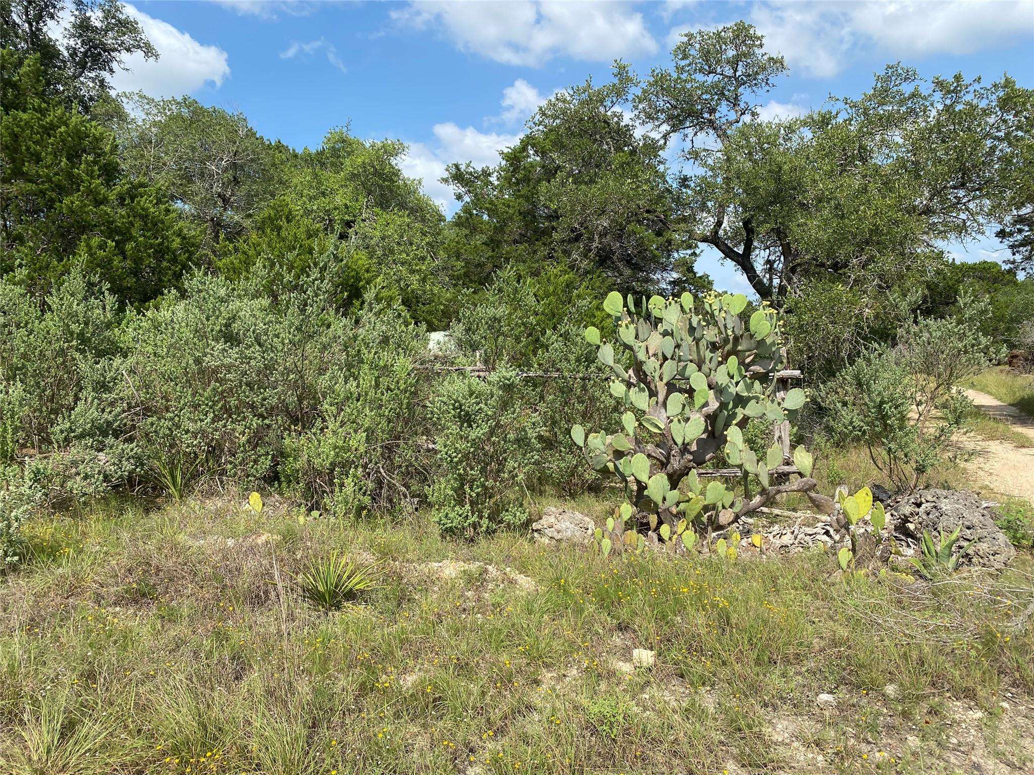 TBD Oak Meadow Lot #35 LN, Wimberley, TX 78676