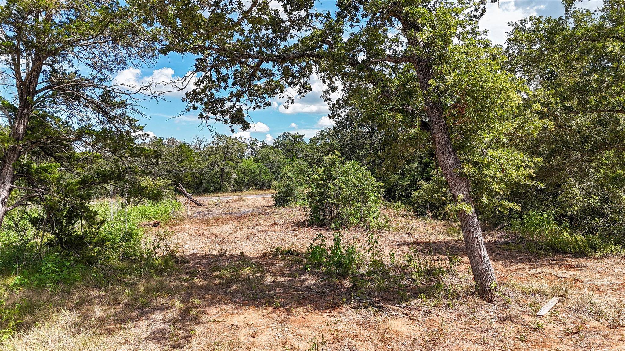 115 Eaglenest CT, Smithville, TX 78957