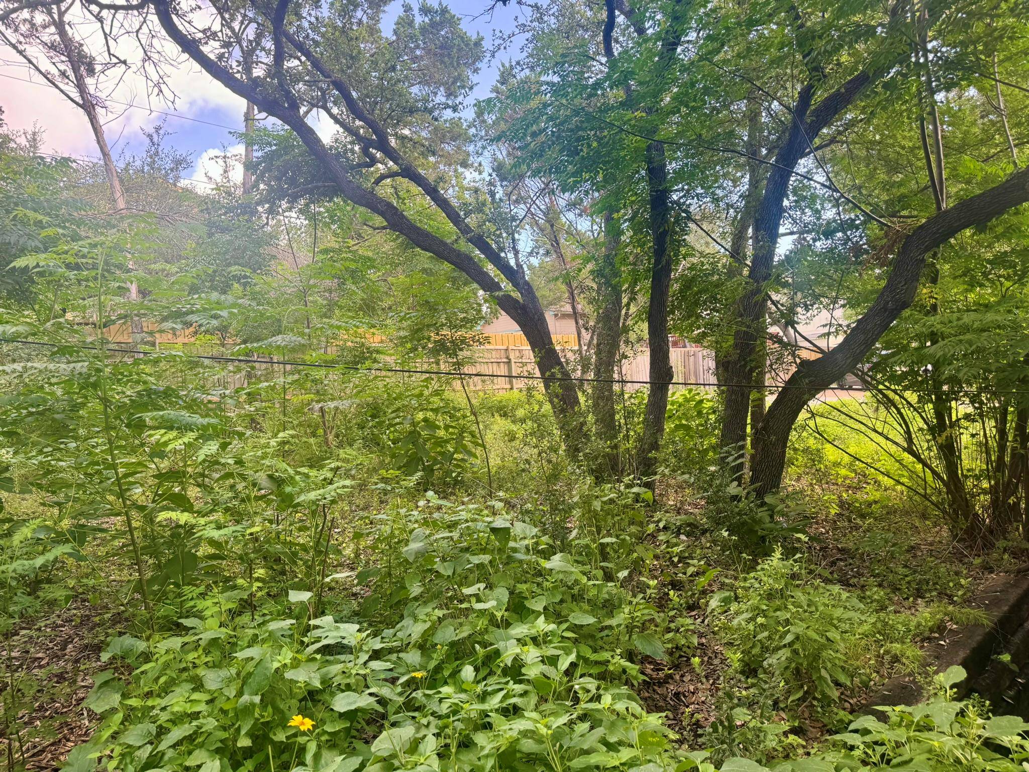1102 N Cuernavaca DR, Austin, TX 78733