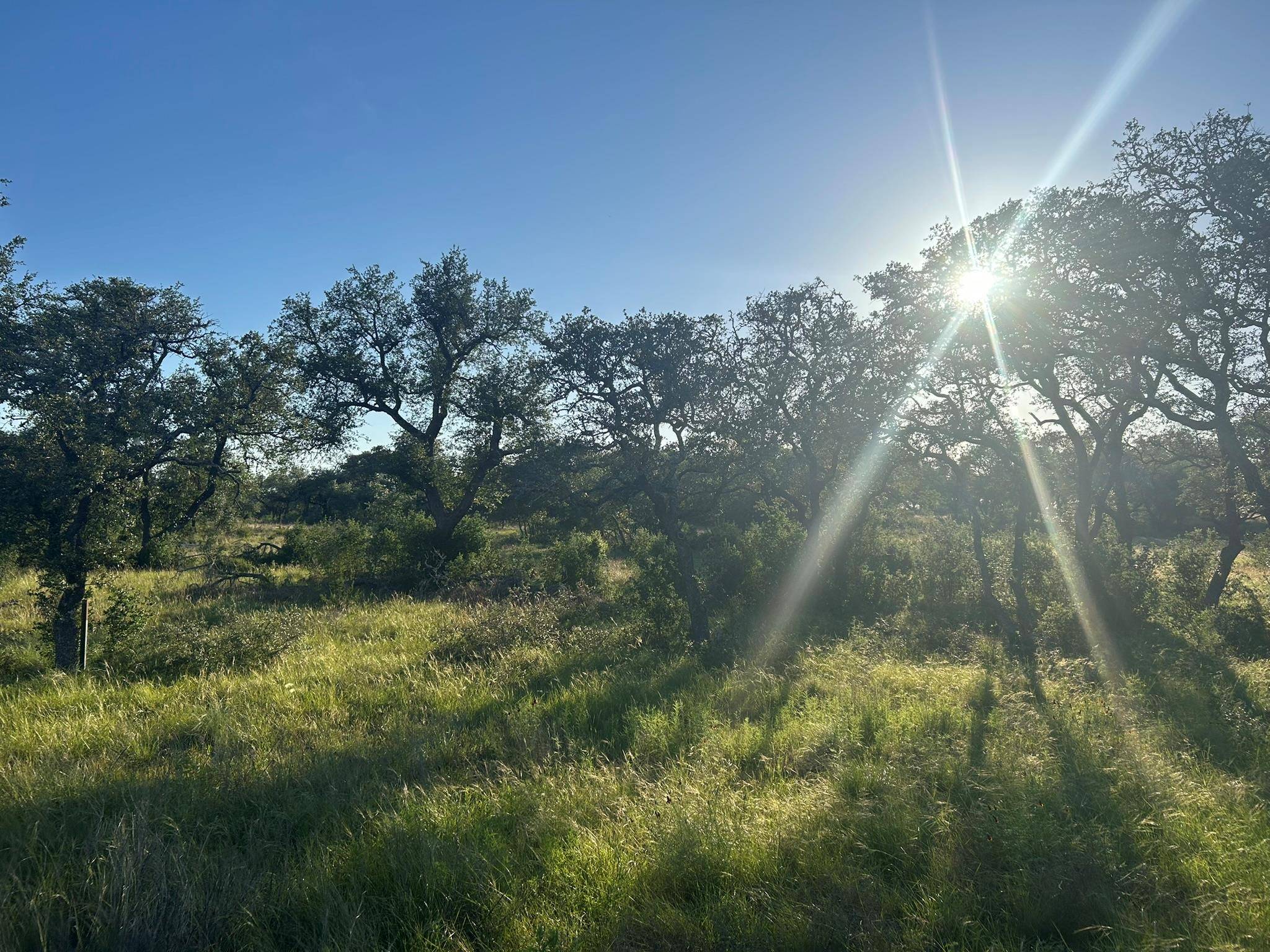 Lot 13 Legacy Hillls DR, Johnson City, TX 78636