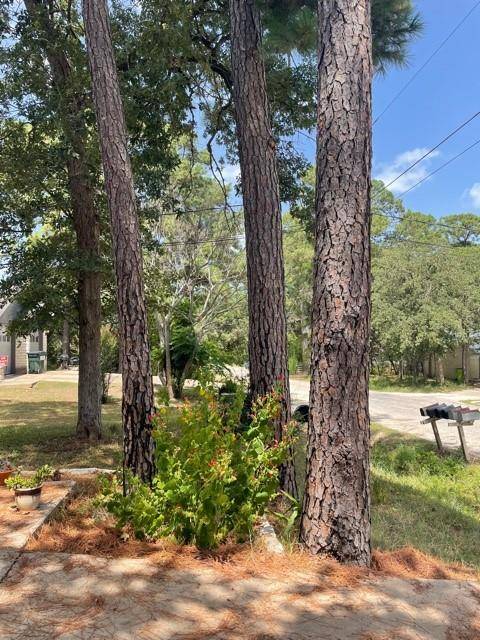 110 N Kanaio DR #B, Bastrop, TX 78602