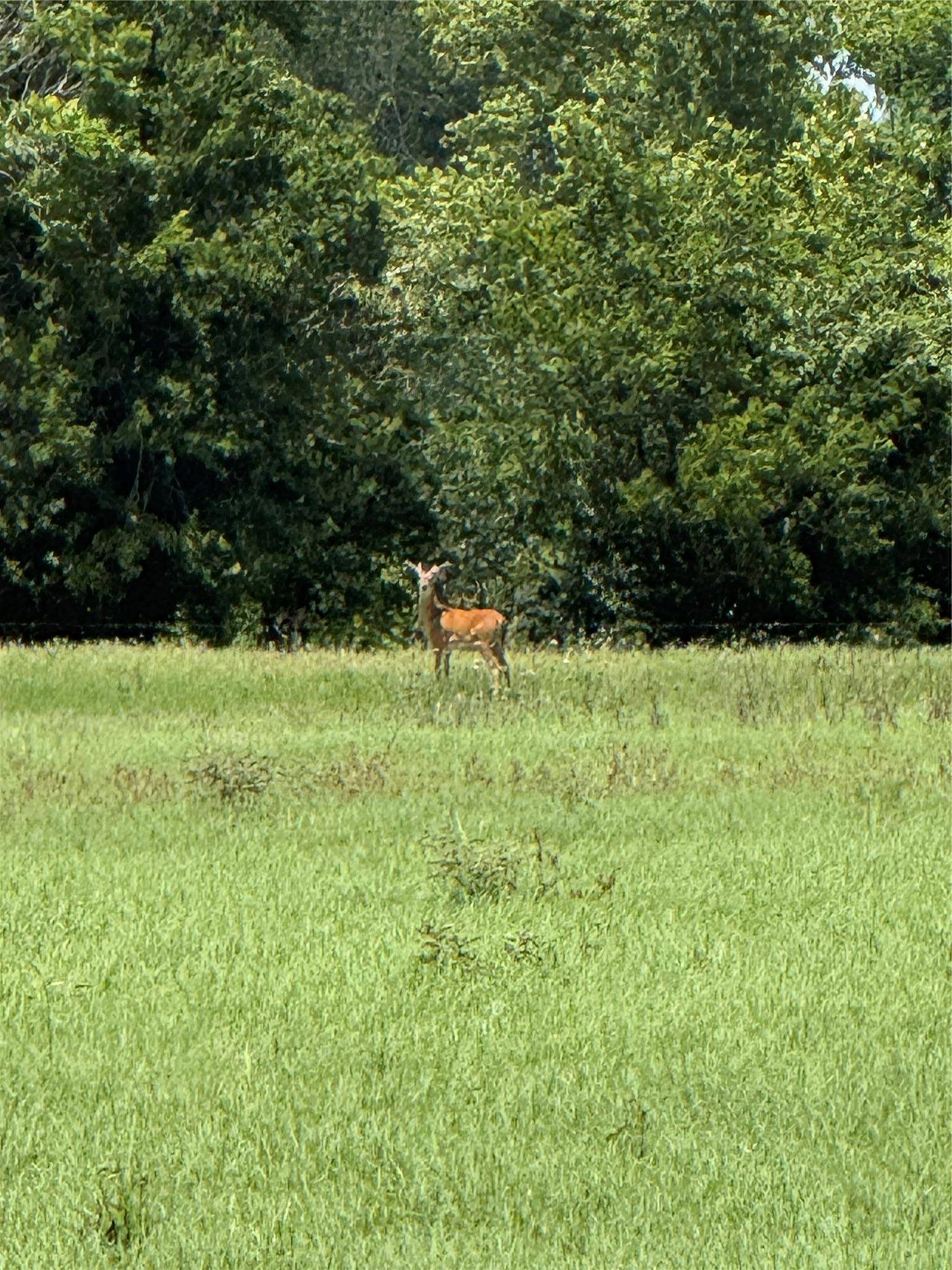 314 FM 2571, Smithville, TX 78957