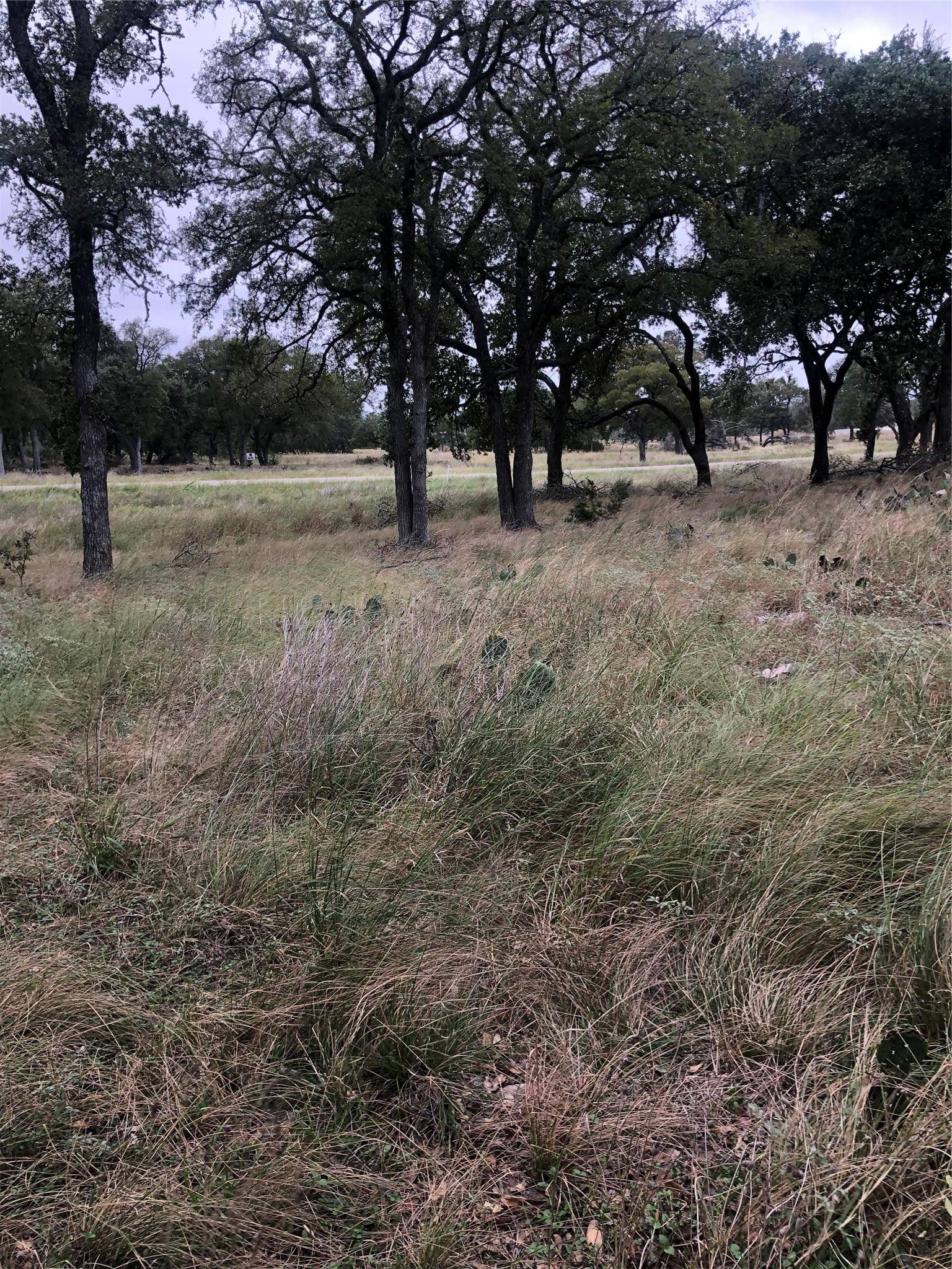 99 Axis CIR, Fredericksburg, TX 78624