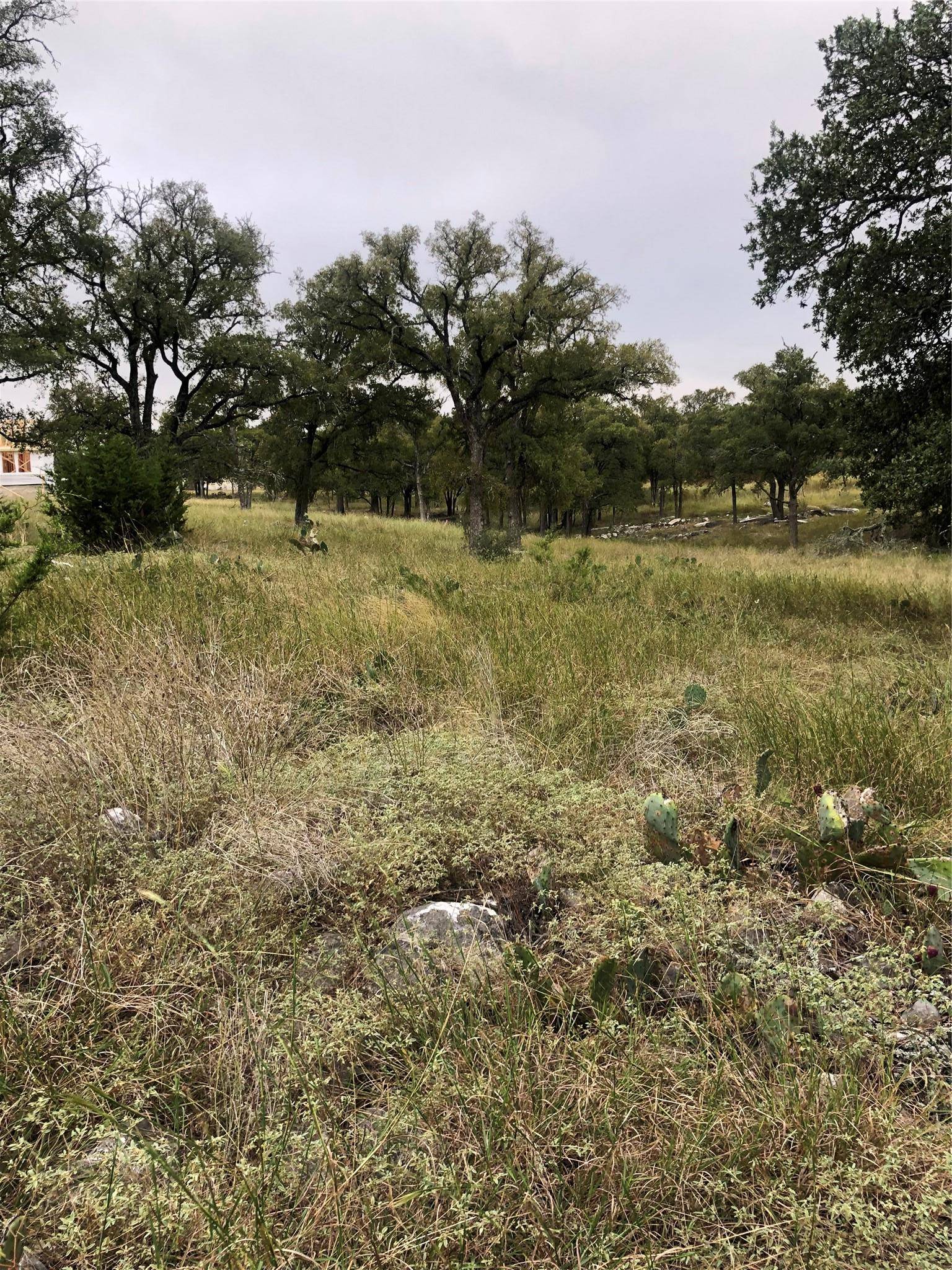 99 Axis CIR, Fredericksburg, TX 78624