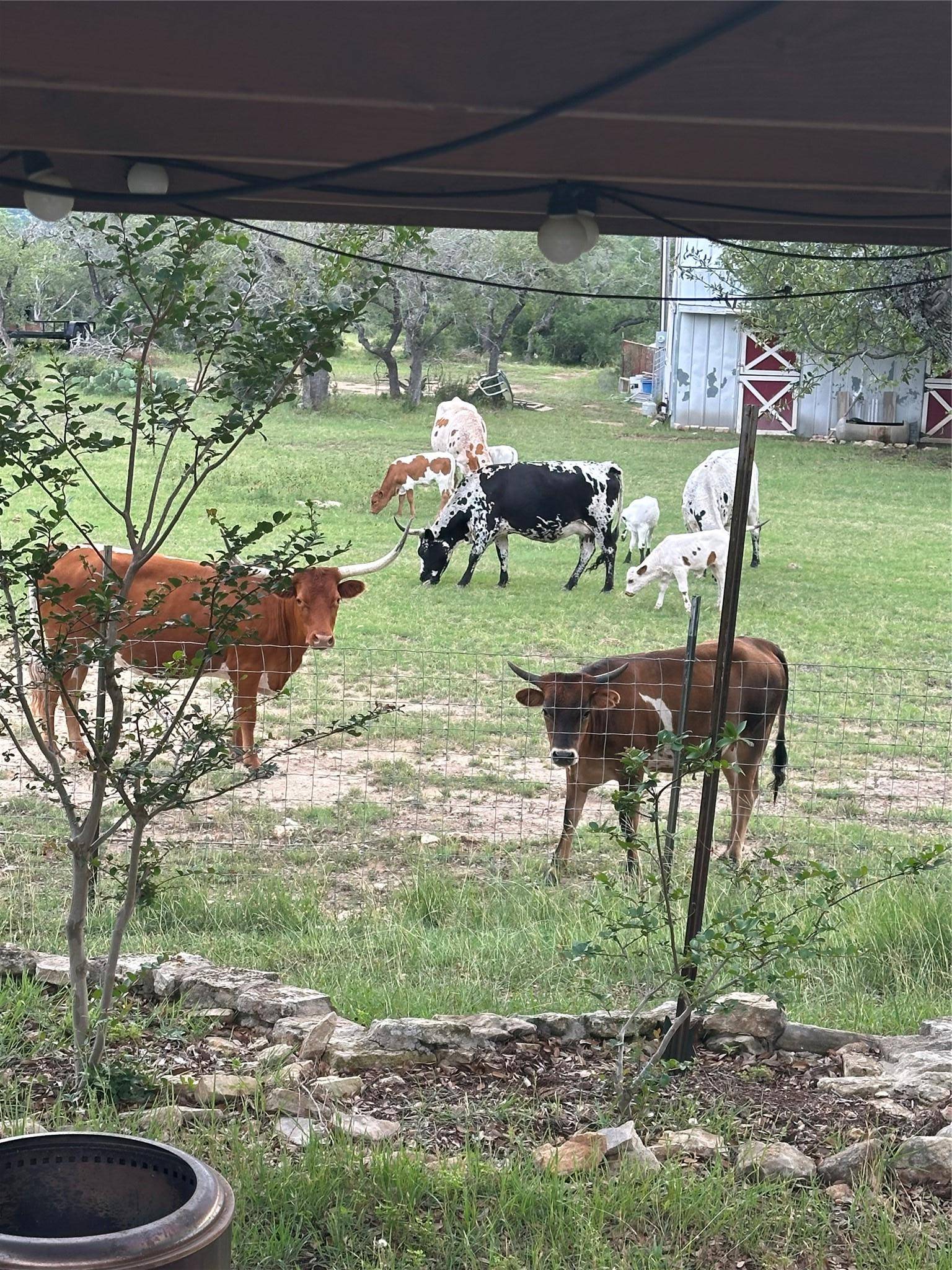 320 Valley Oak DR, Dripping Springs, TX 78620