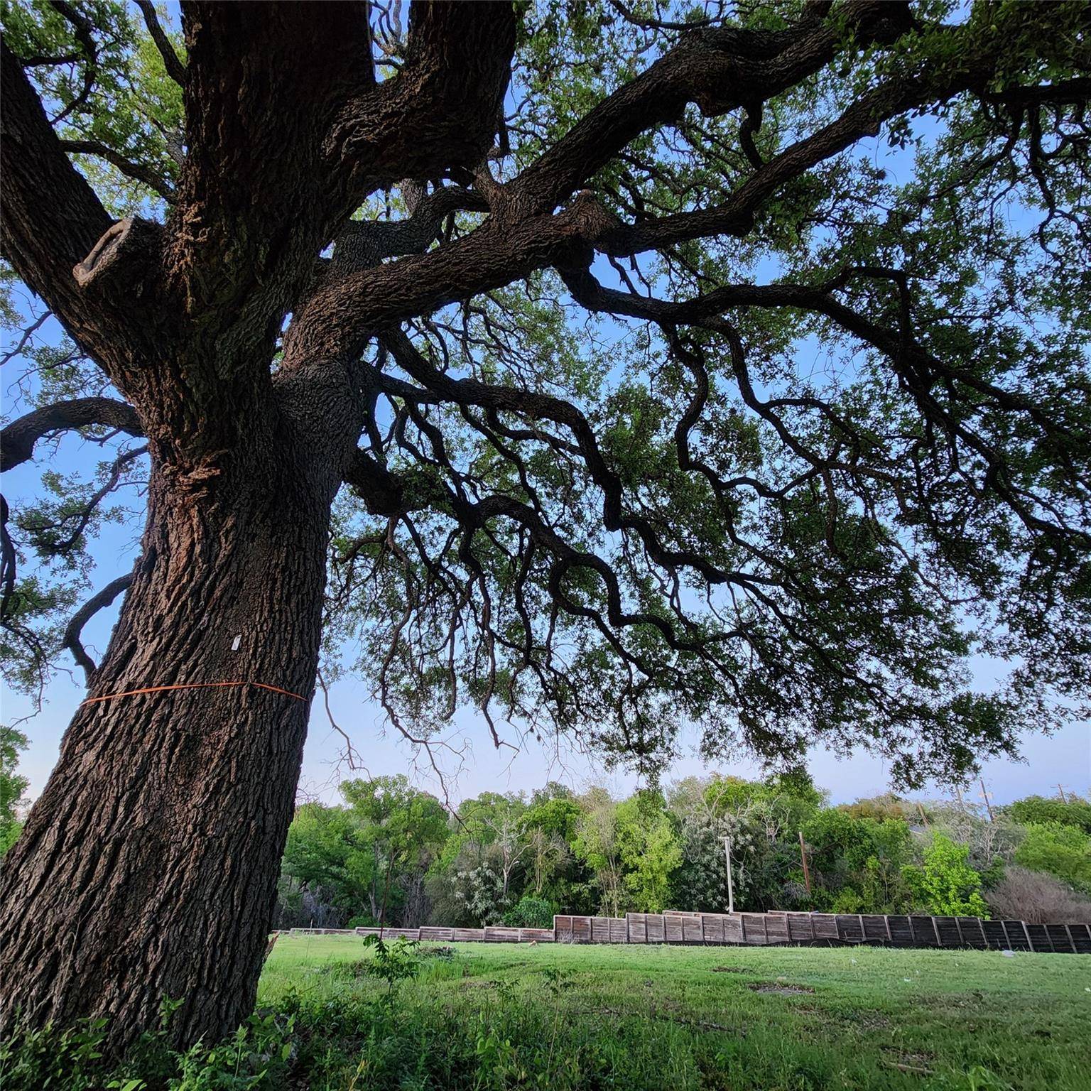 701 Montgomery ST, Georgetown, TX 78626