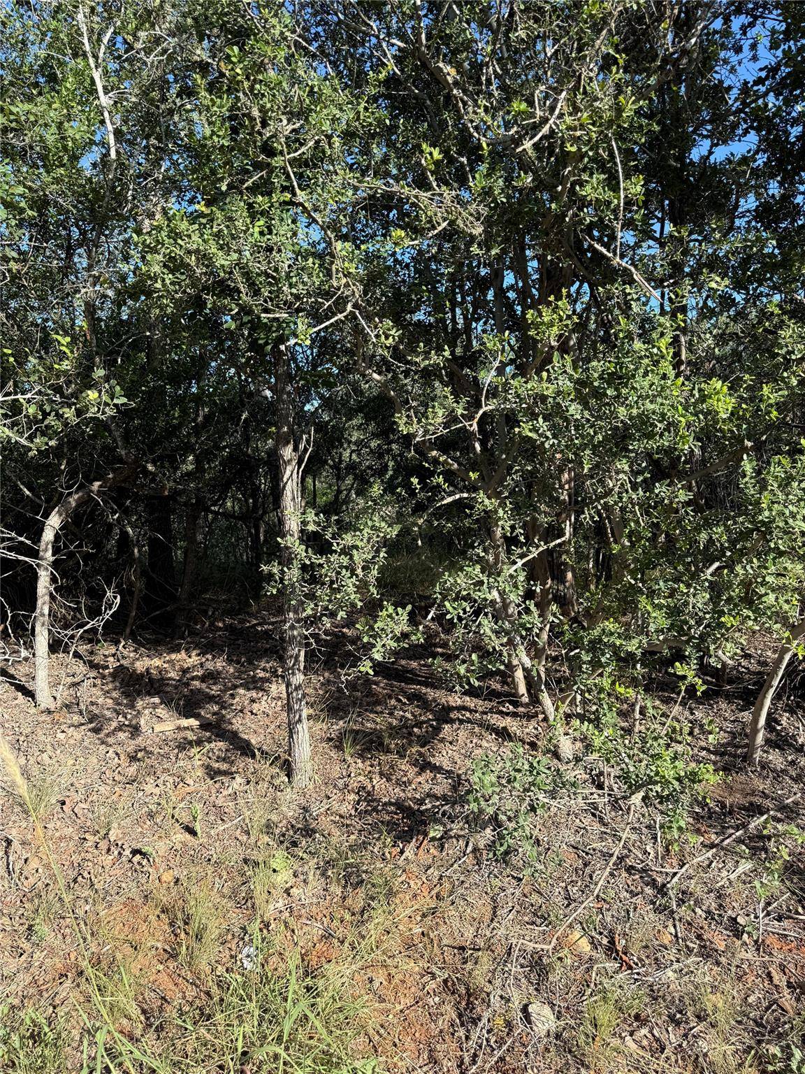 152 Helemano DR, Bastrop, TX 78602