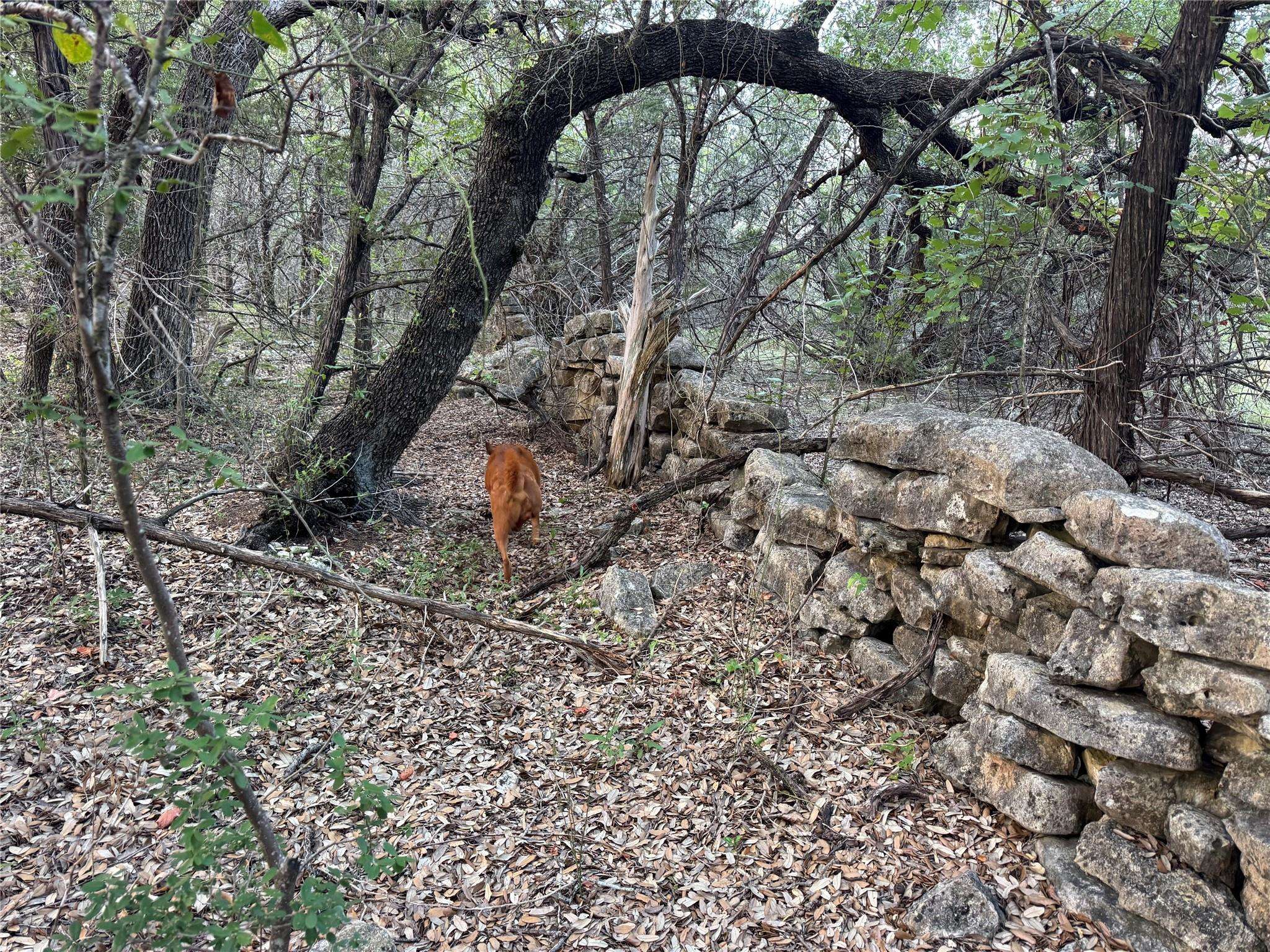 0000 Round Mountain RD, Leander, TX 78641
