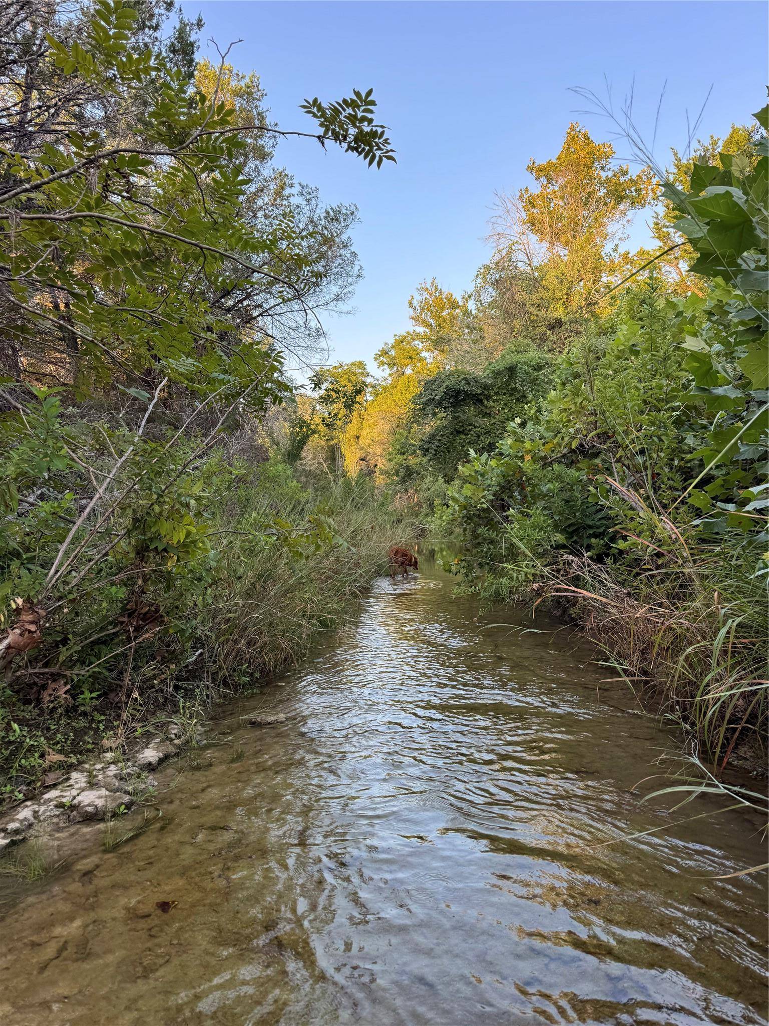 0000 Round Mountain RD, Leander, TX 78641