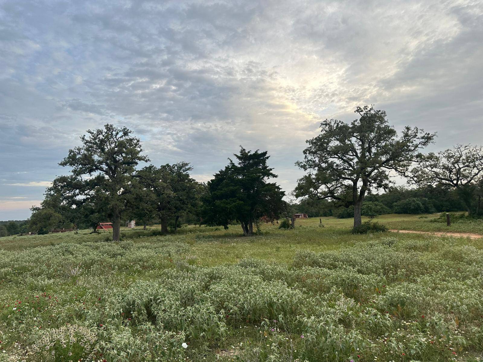 1118 N Woodland TRL, Rockdale, TX 77836