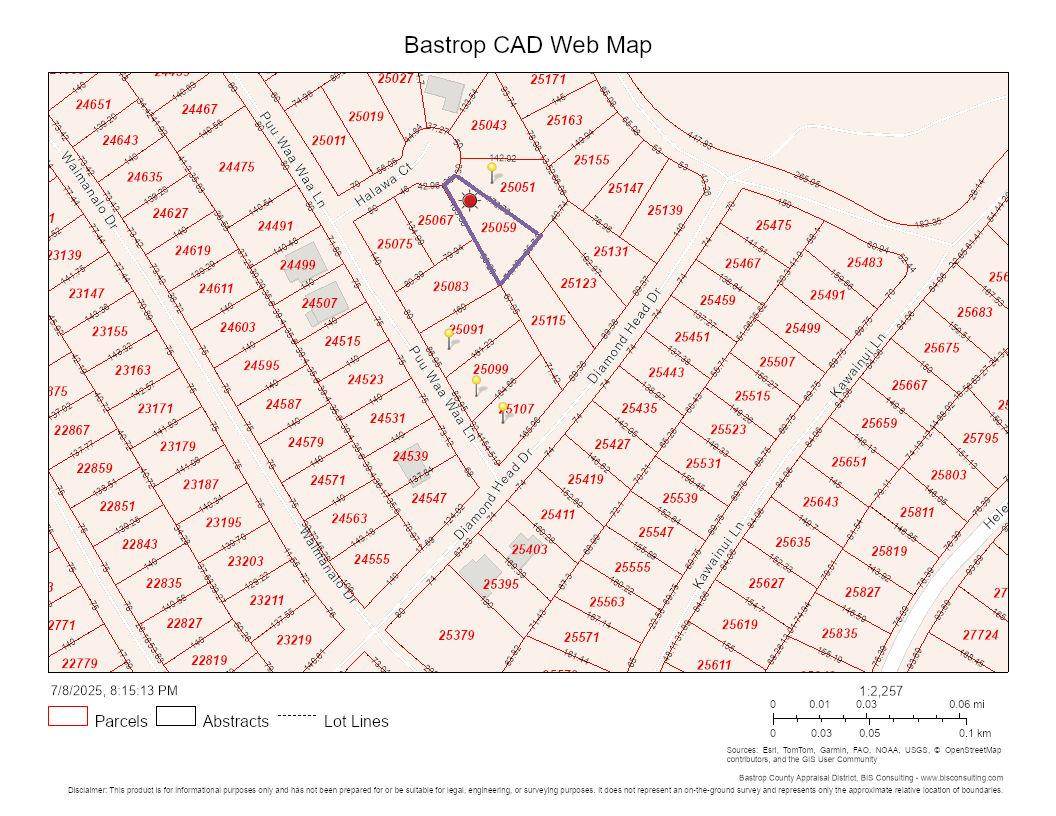 107 Halawa CT, Bastrop, TX 78602