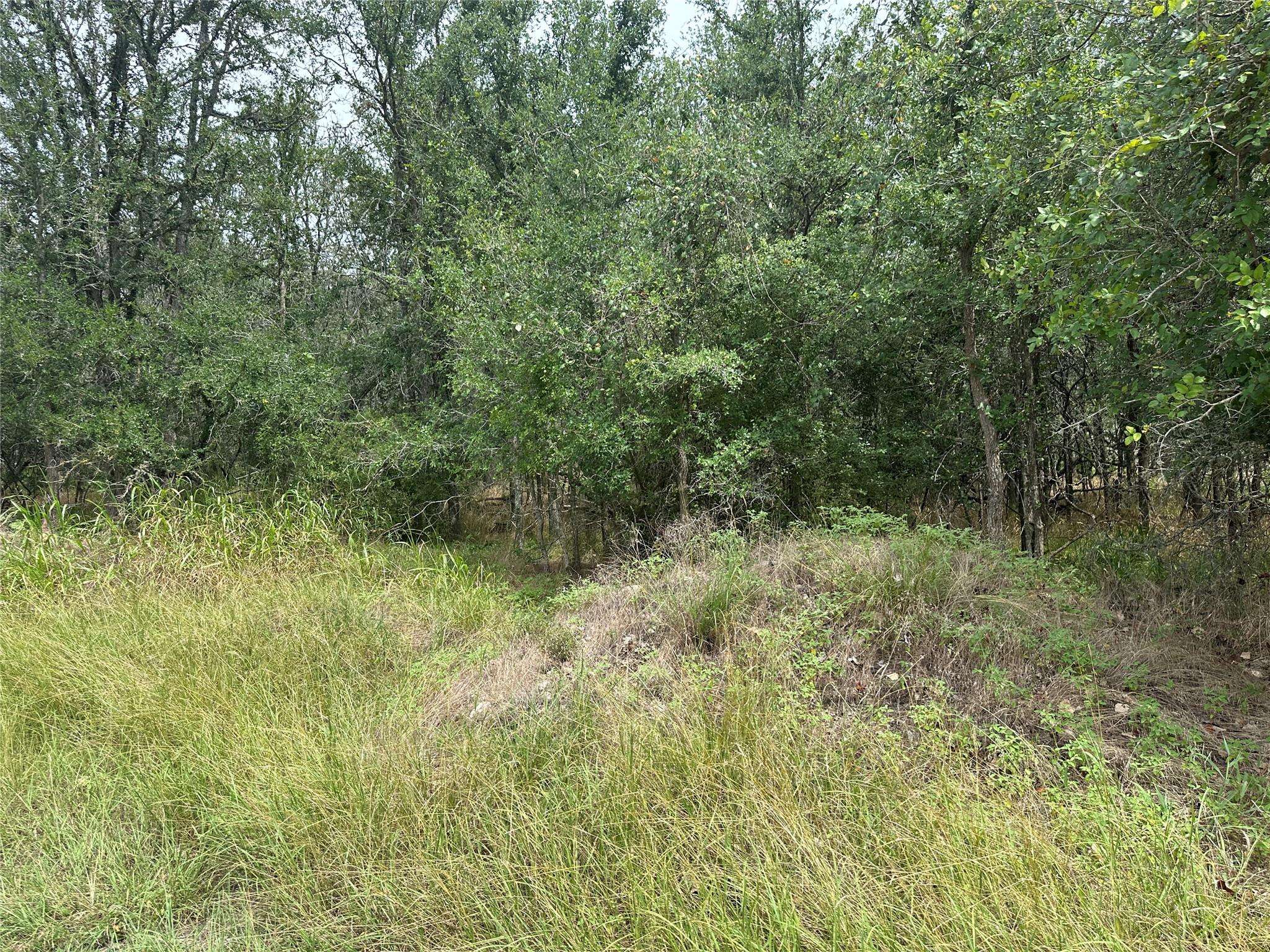 107 Halawa CT, Bastrop, TX 78602