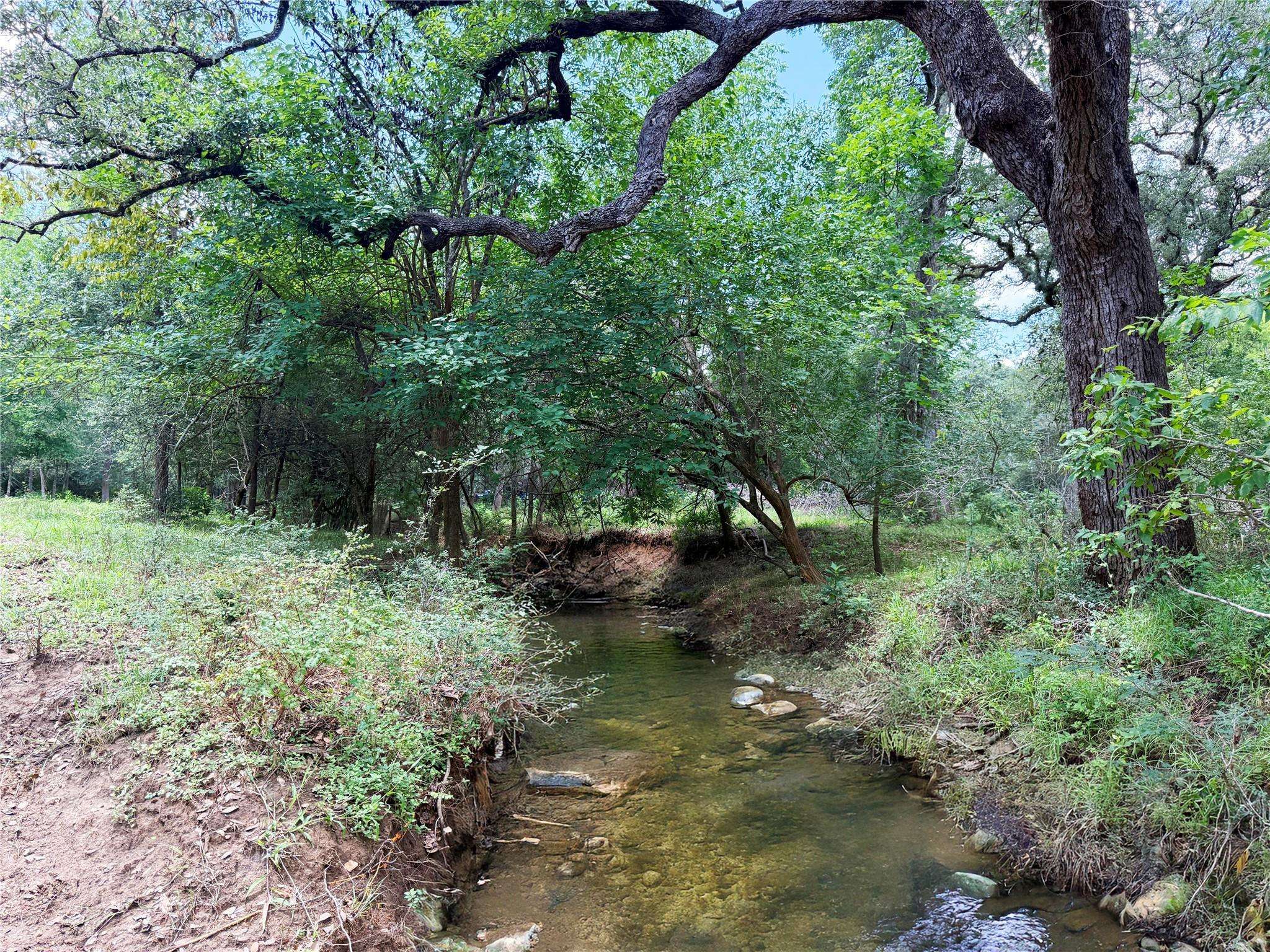0000 FM 2239, Paige, TX 78659