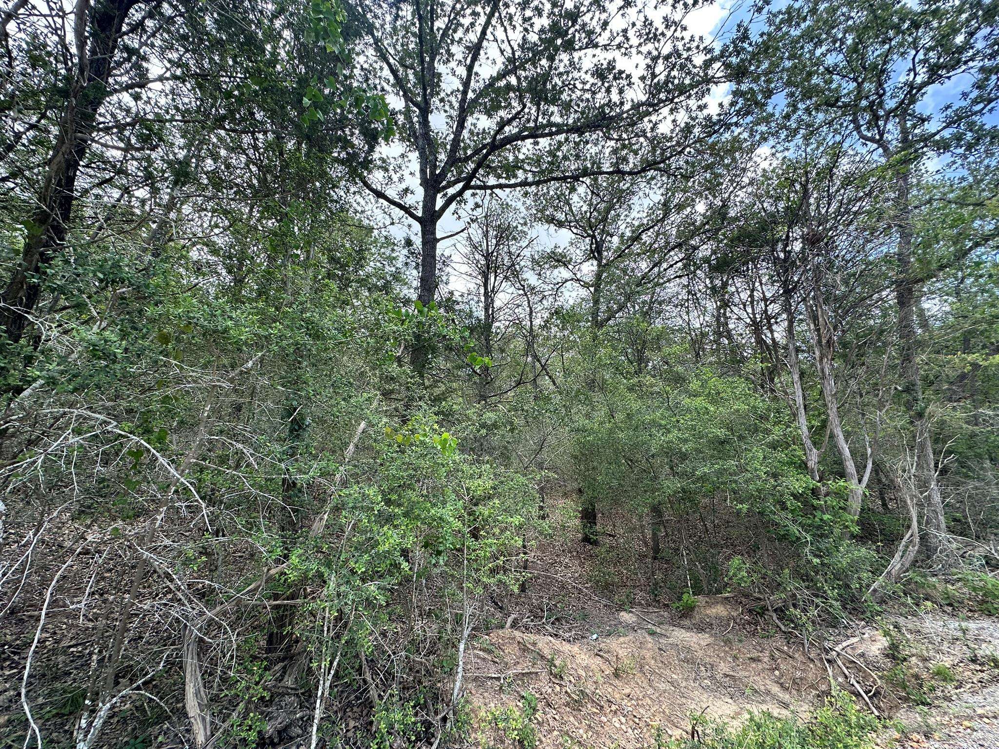 173 Kaaawa LN, Bastrop, TX 78602