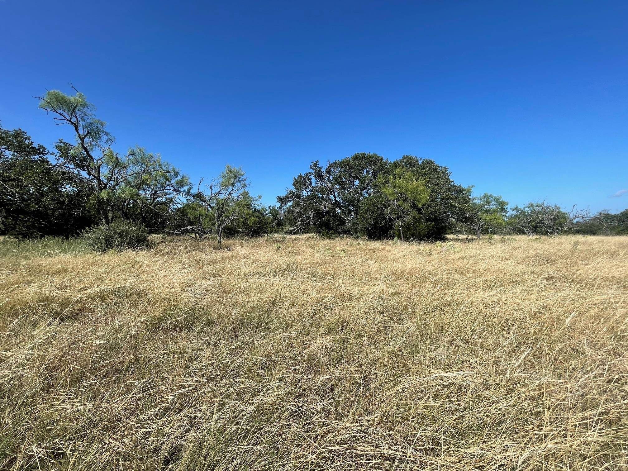 Lot 200 Swamp Creek Cove, Burnet, TX 78611