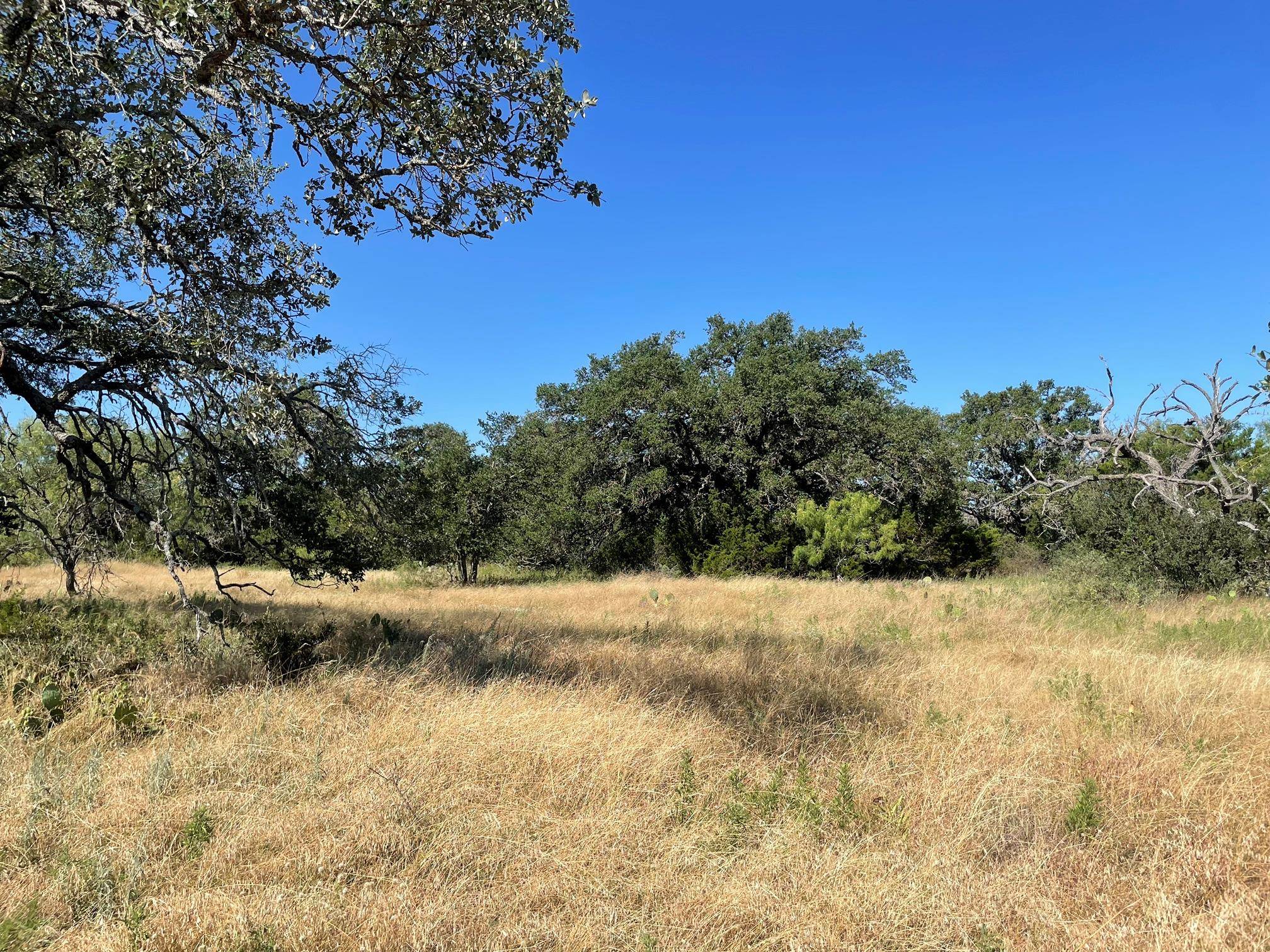 Lot 200 Swamp Creek Cove, Burnet, TX 78611