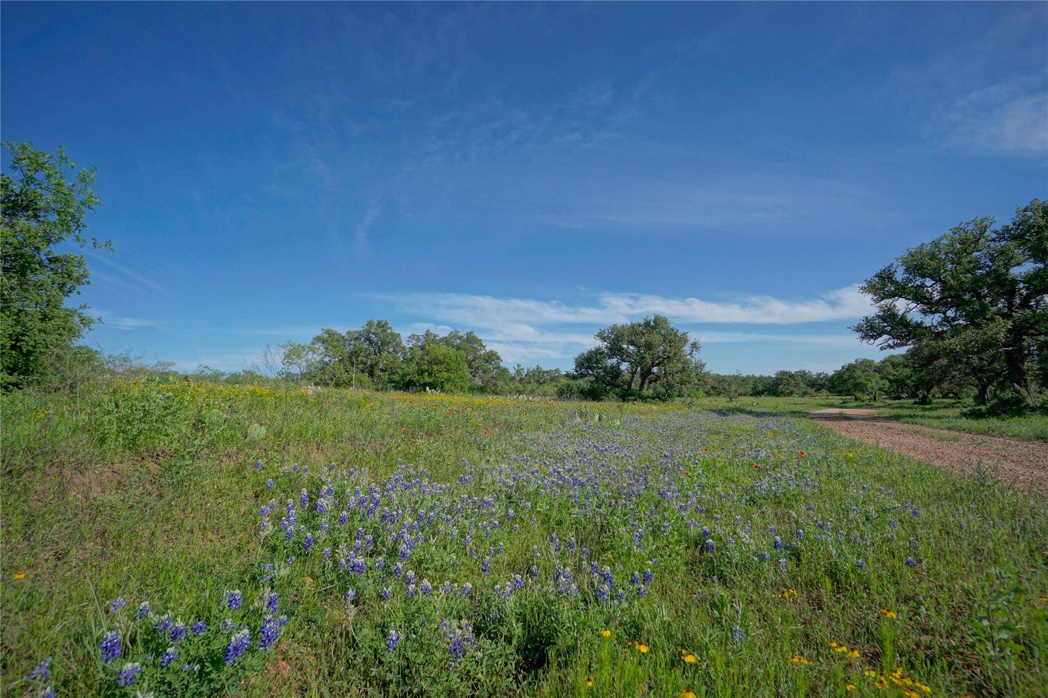 Lot 200 Swamp Creek Cove, Burnet, TX 78611