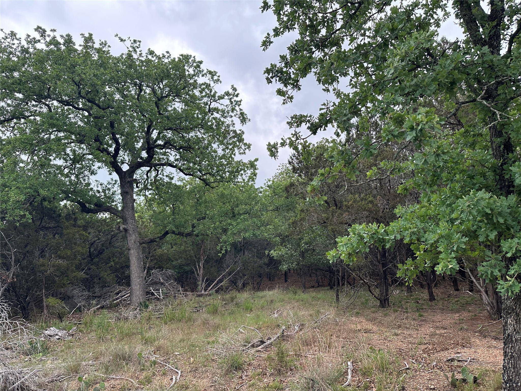 126 Cottonwood DR, Gatesville, TX 76528