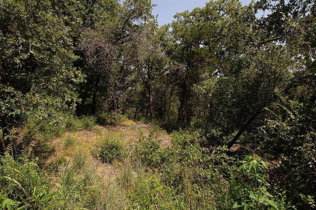 TBD Post Oak Rim DR, Bastrop, TX 78602