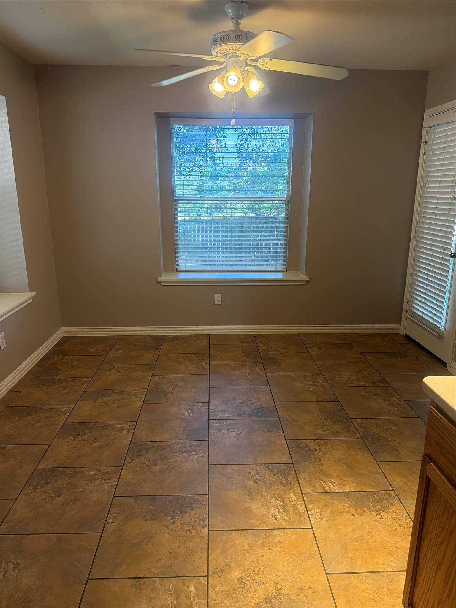 3809 Castle Rock CV, Round Rock, TX 78681