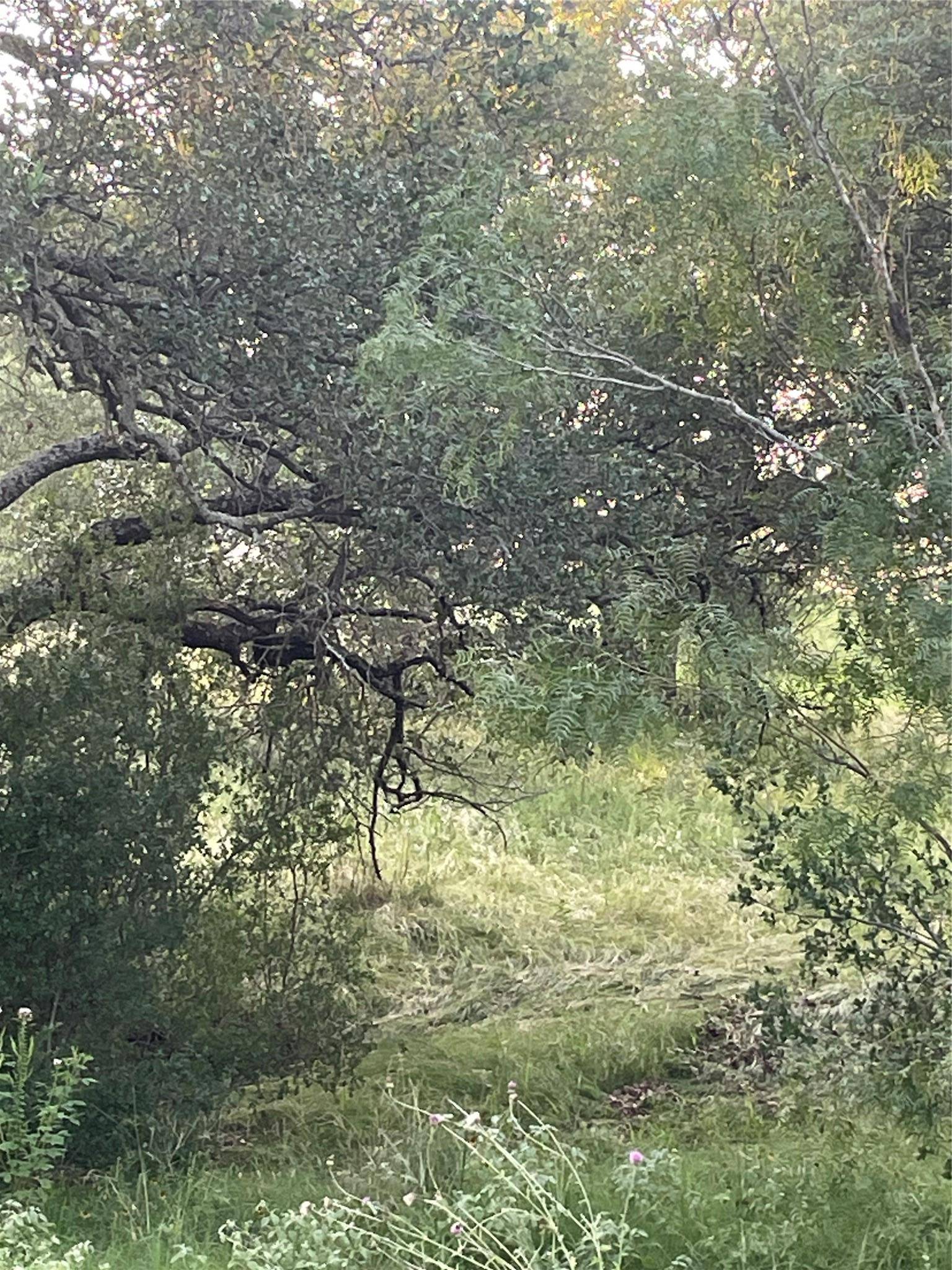 Lot 15 Orange Plume, Horseshoe Bay, TX 78657